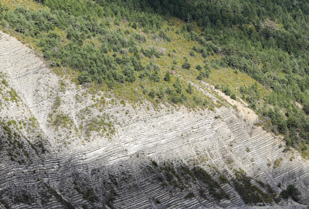 una vista de la ladera de una montaña con árboles a un lado