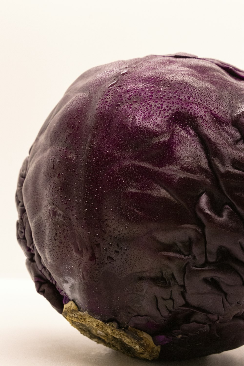 a close up of a purple object on a white surface