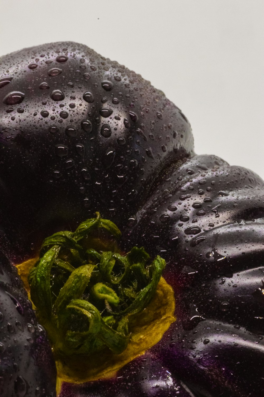 a close up of a purple and green object with water droplets on it