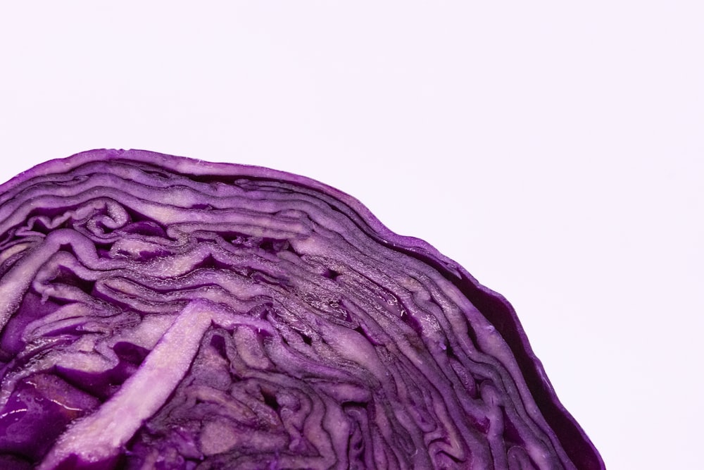 un gros plan d’un chou violet sur fond blanc