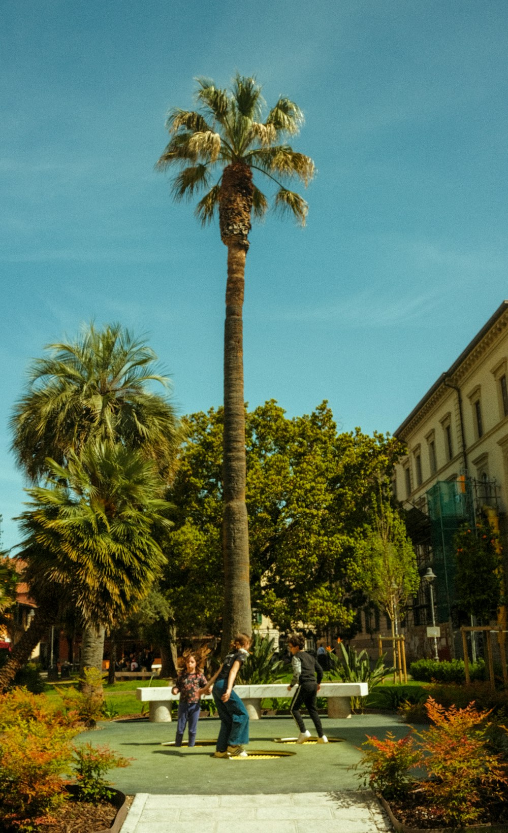 a group of people standing around a palm tree