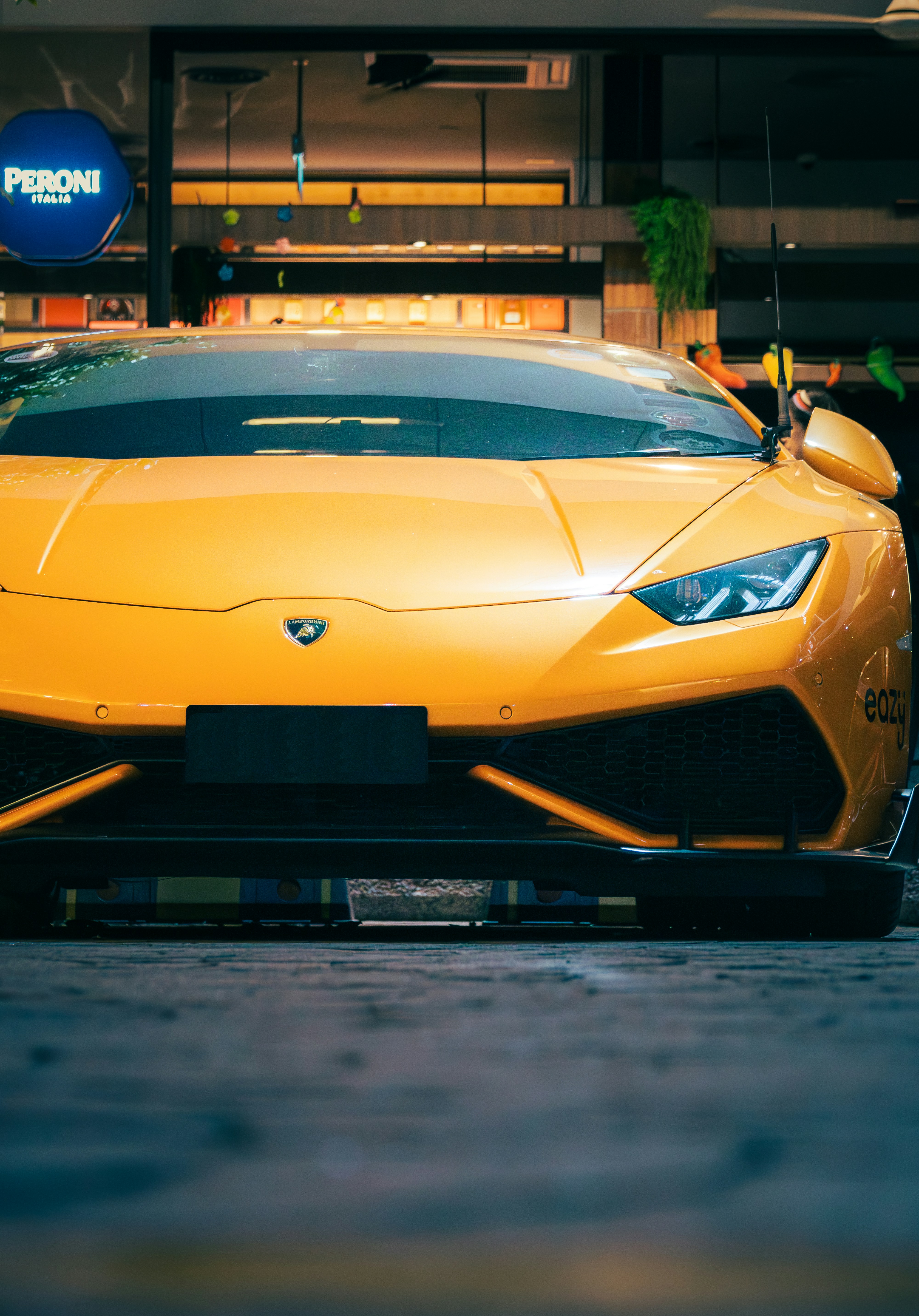 Photo by horseratbros