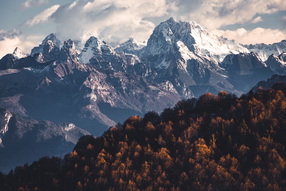 a view of a mountain range with trees in the foreground