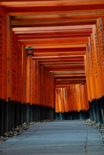 a walkway lined with orange and black columns