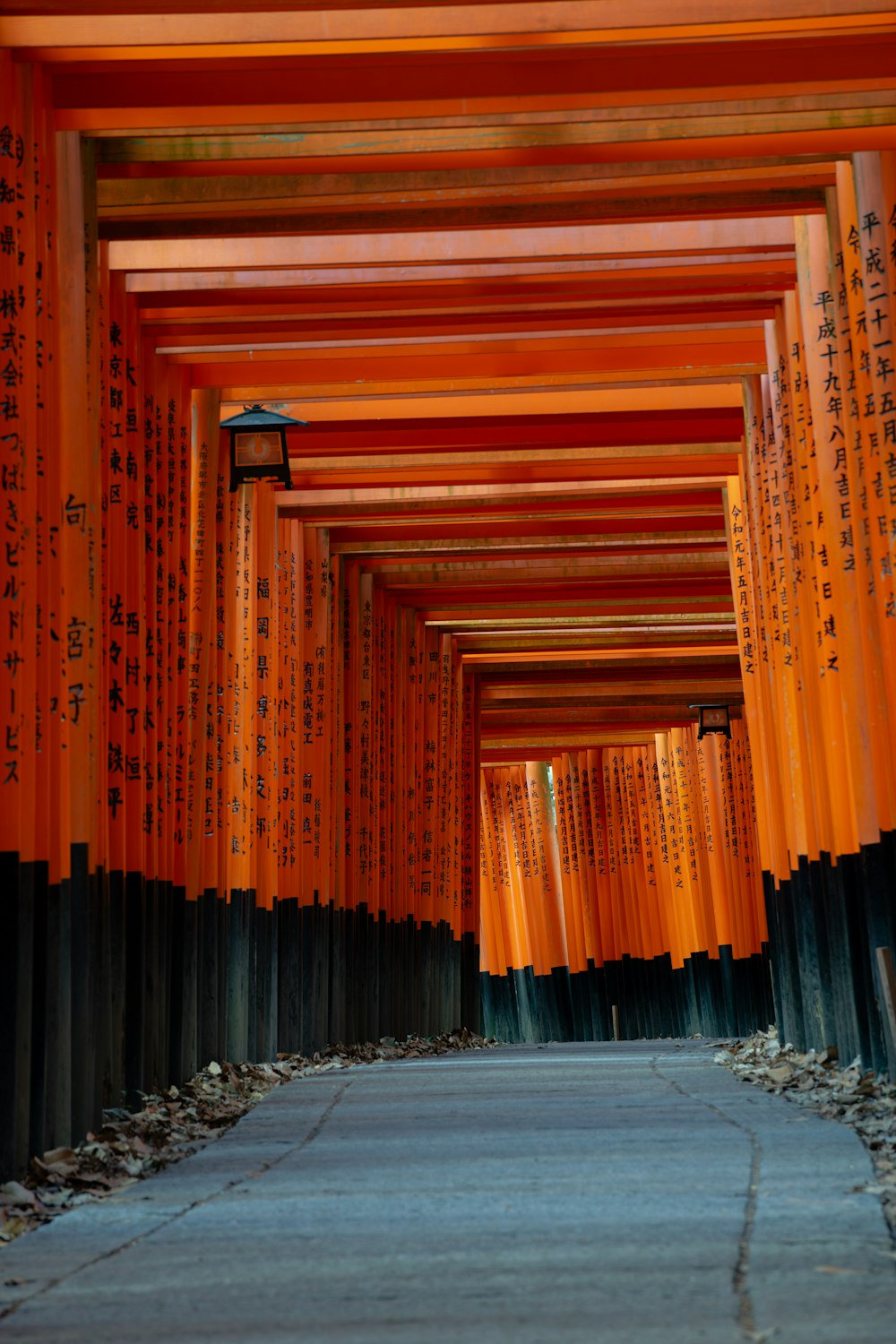 a walkway lined with orange and black columns