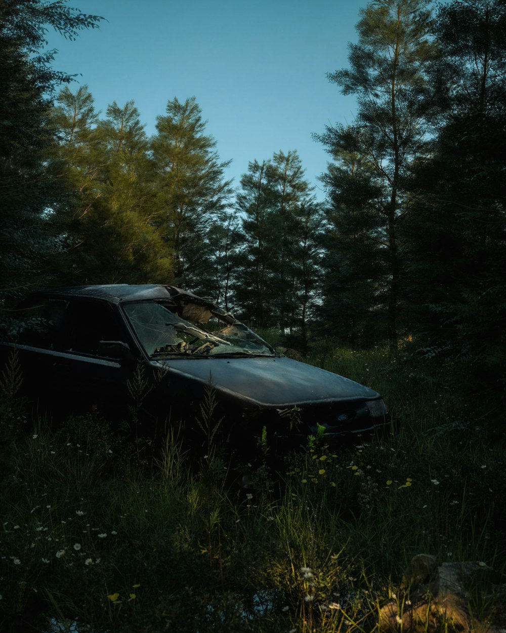 a car that is sitting in the grass