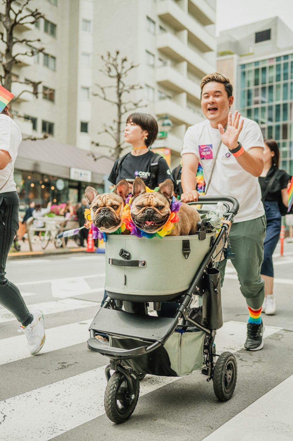 Eine Gruppe von Menschen, die mit einem Hund in einem Wagen eine Straße entlang gehen