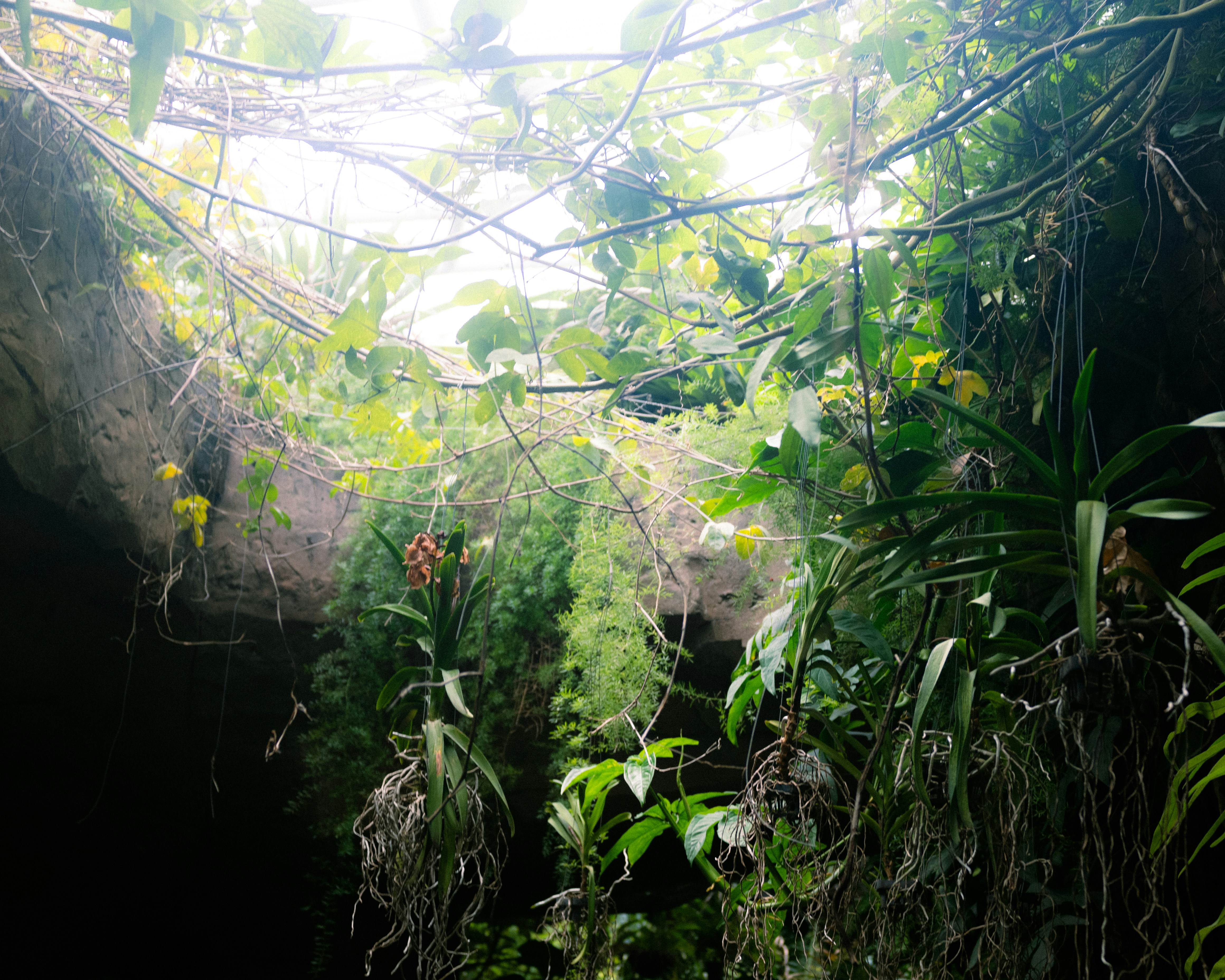 Chemical Communication in the Dark (image credits: unsplash)