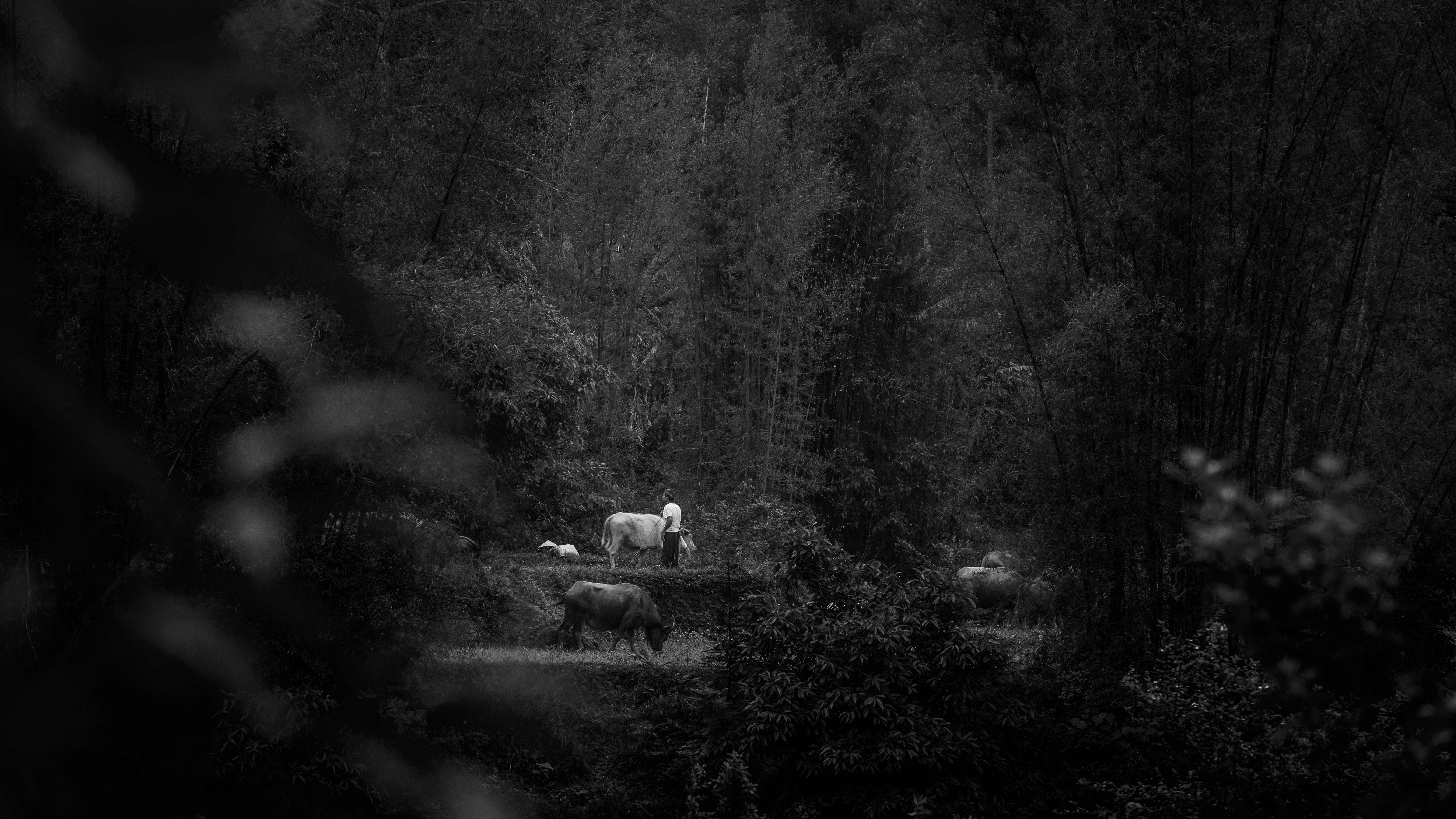 Photo by hieptltb97
