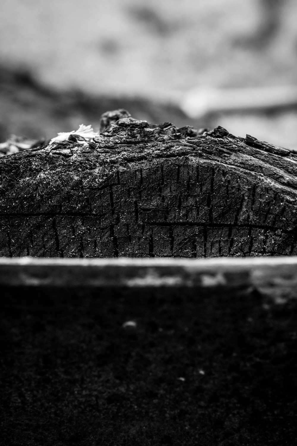 a black and white photo of a piece of wood