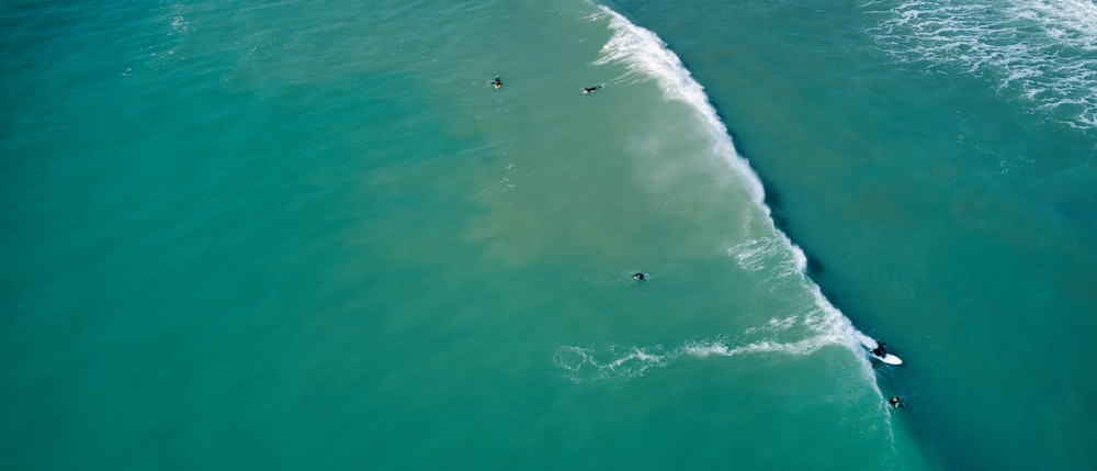 a group of people riding surfboards on top of a wave