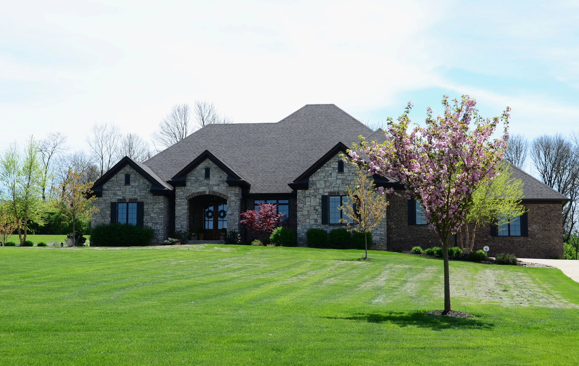 a house with a tree in the front yard