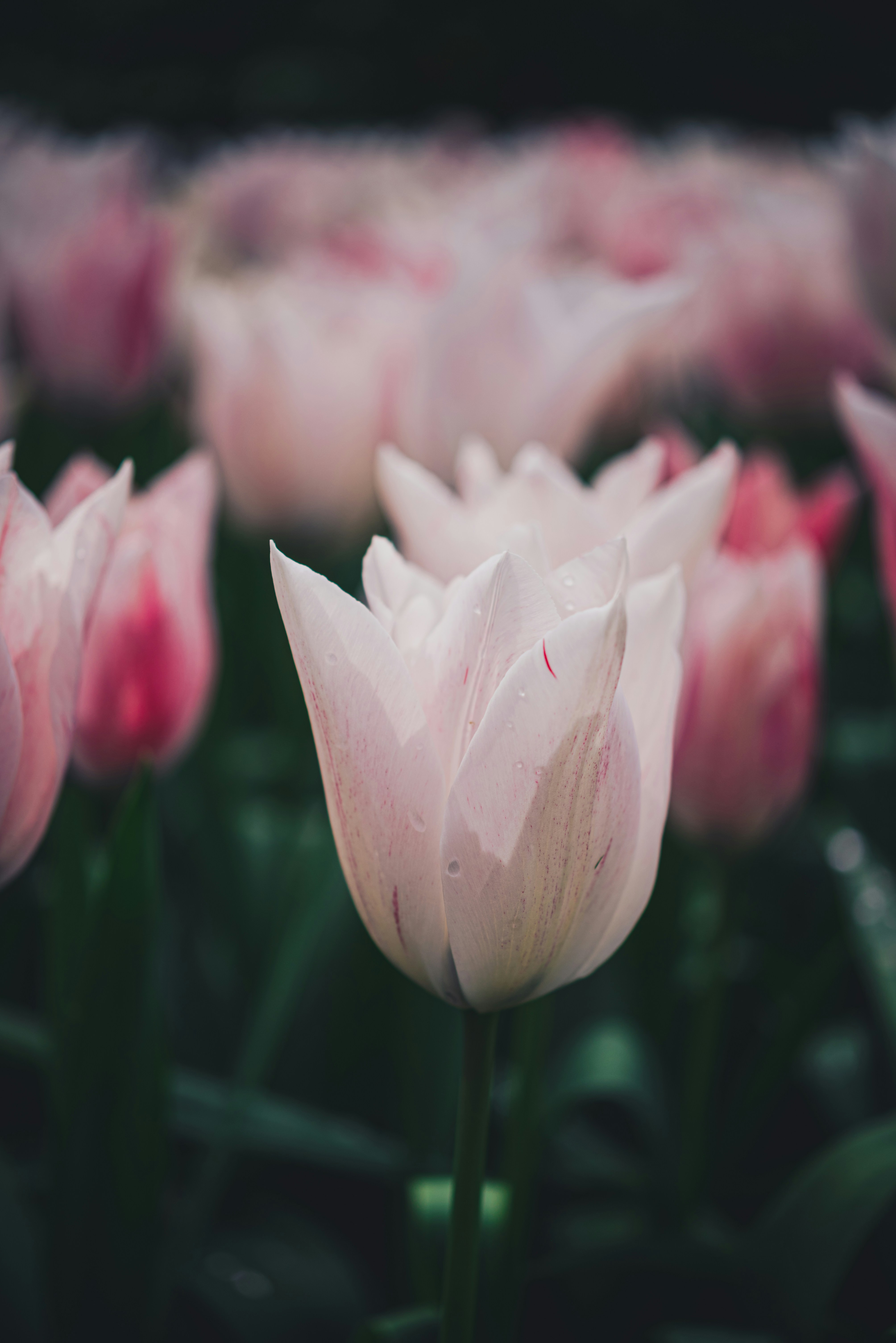 Photo by libby_penner