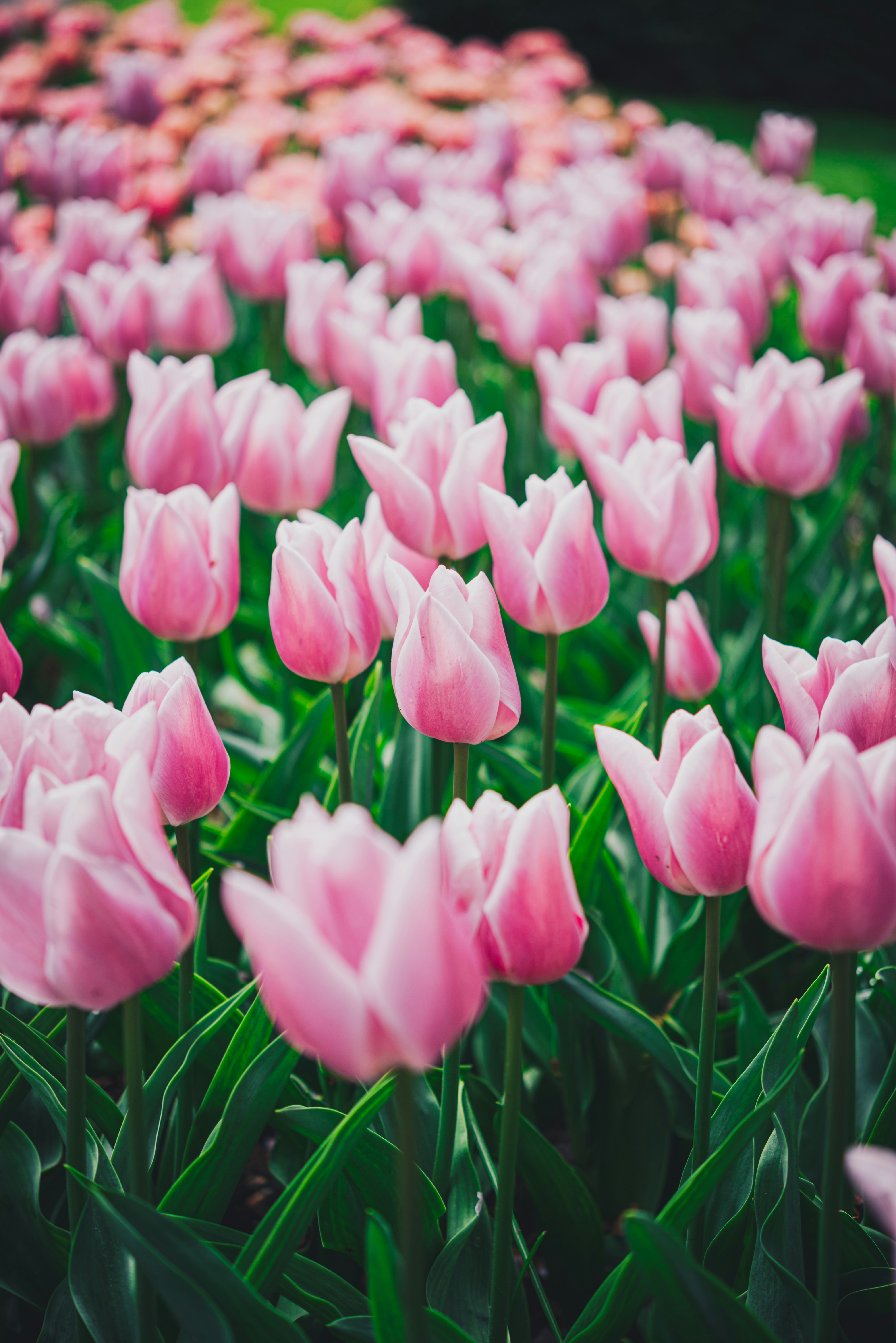 Photo by libby_penner