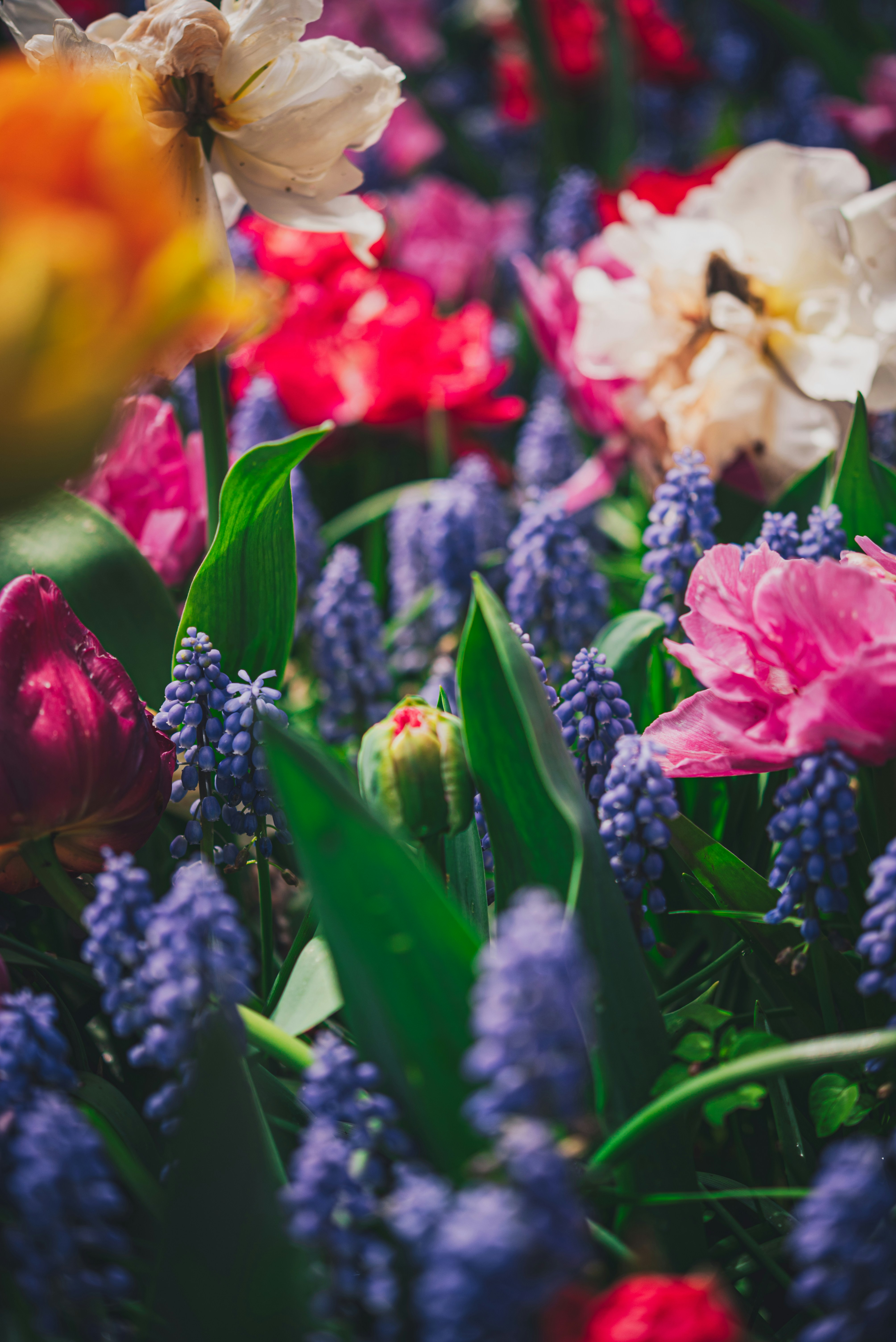 Photo by libby_penner