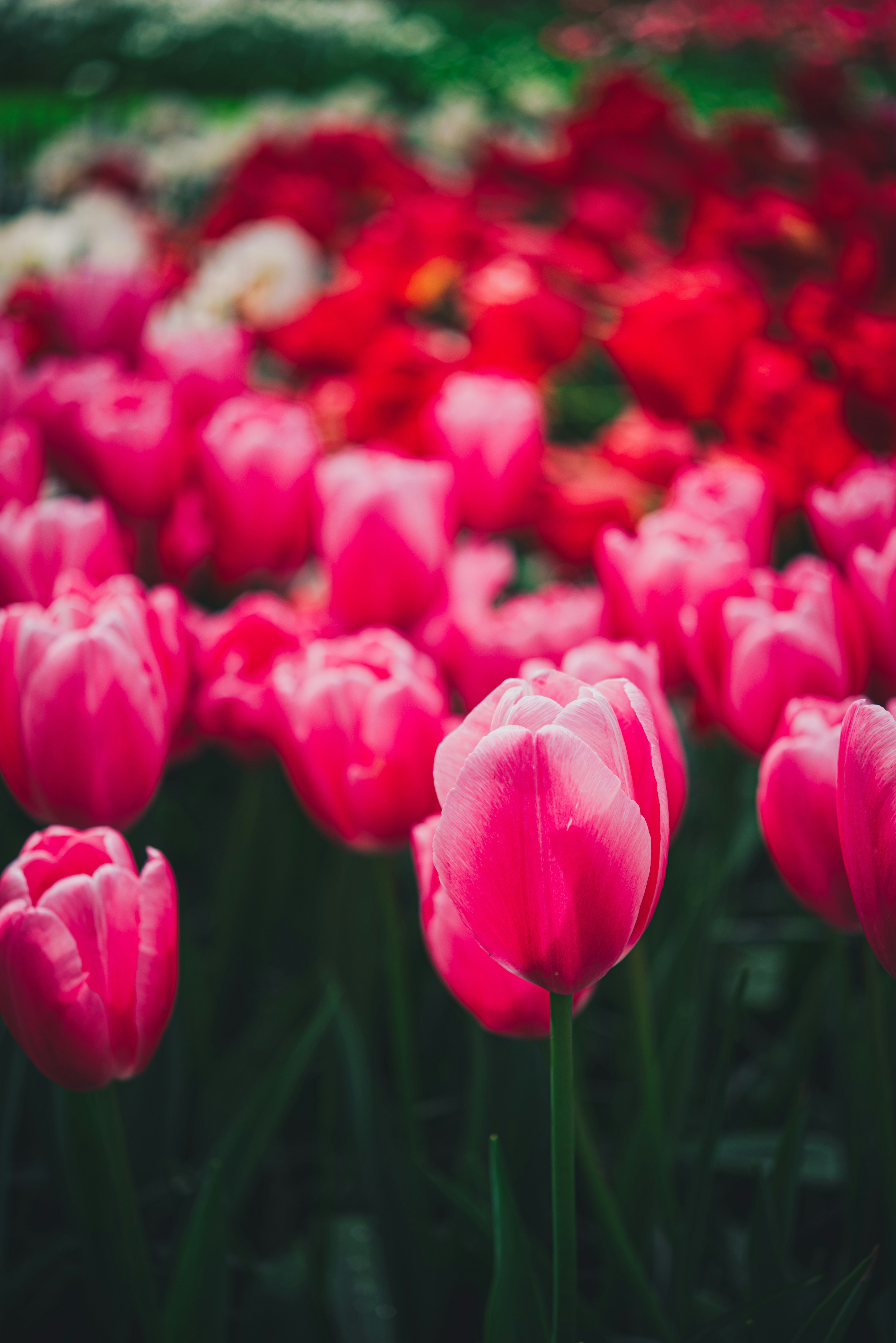 Photo by libby_penner