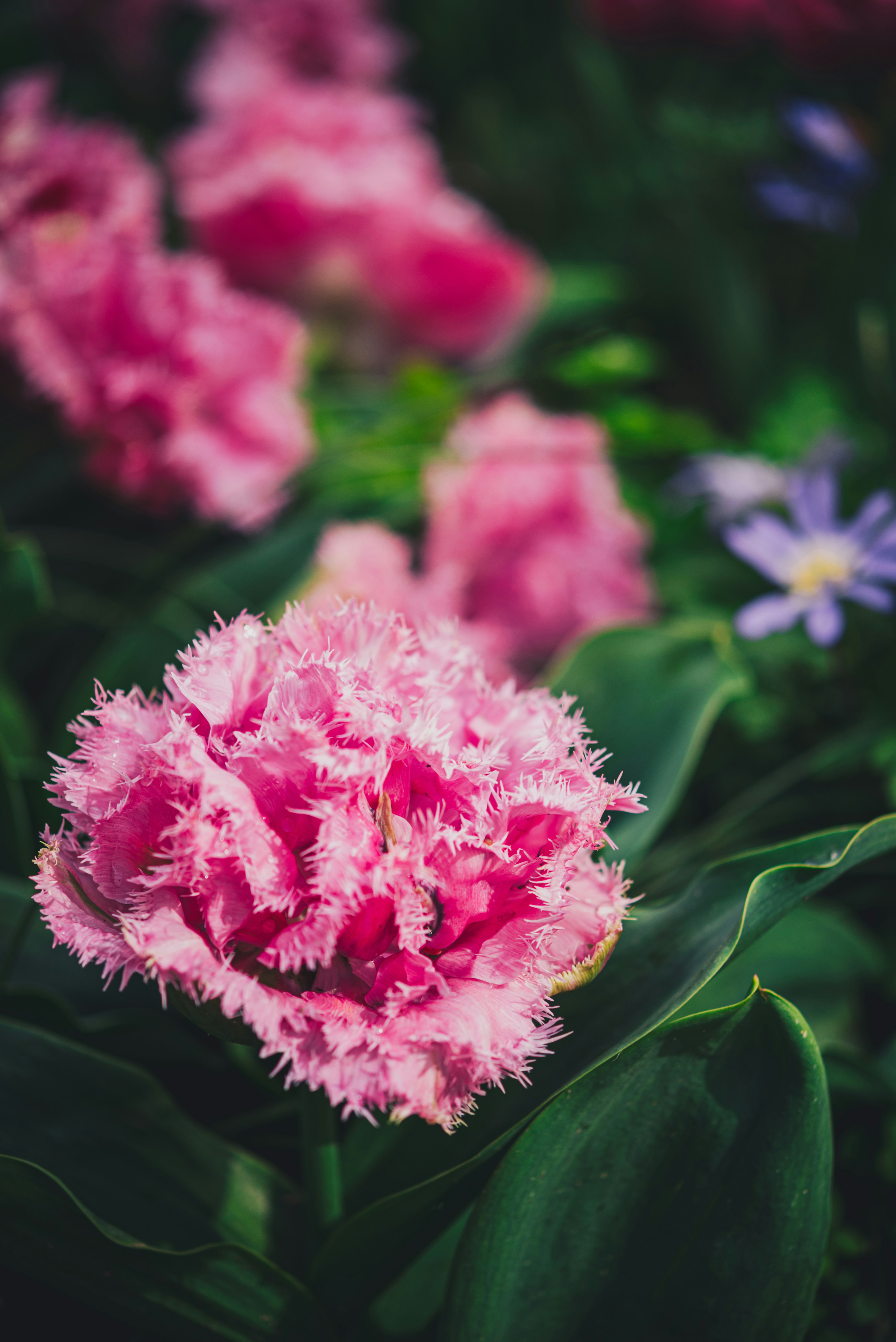 Photo by libby_penner