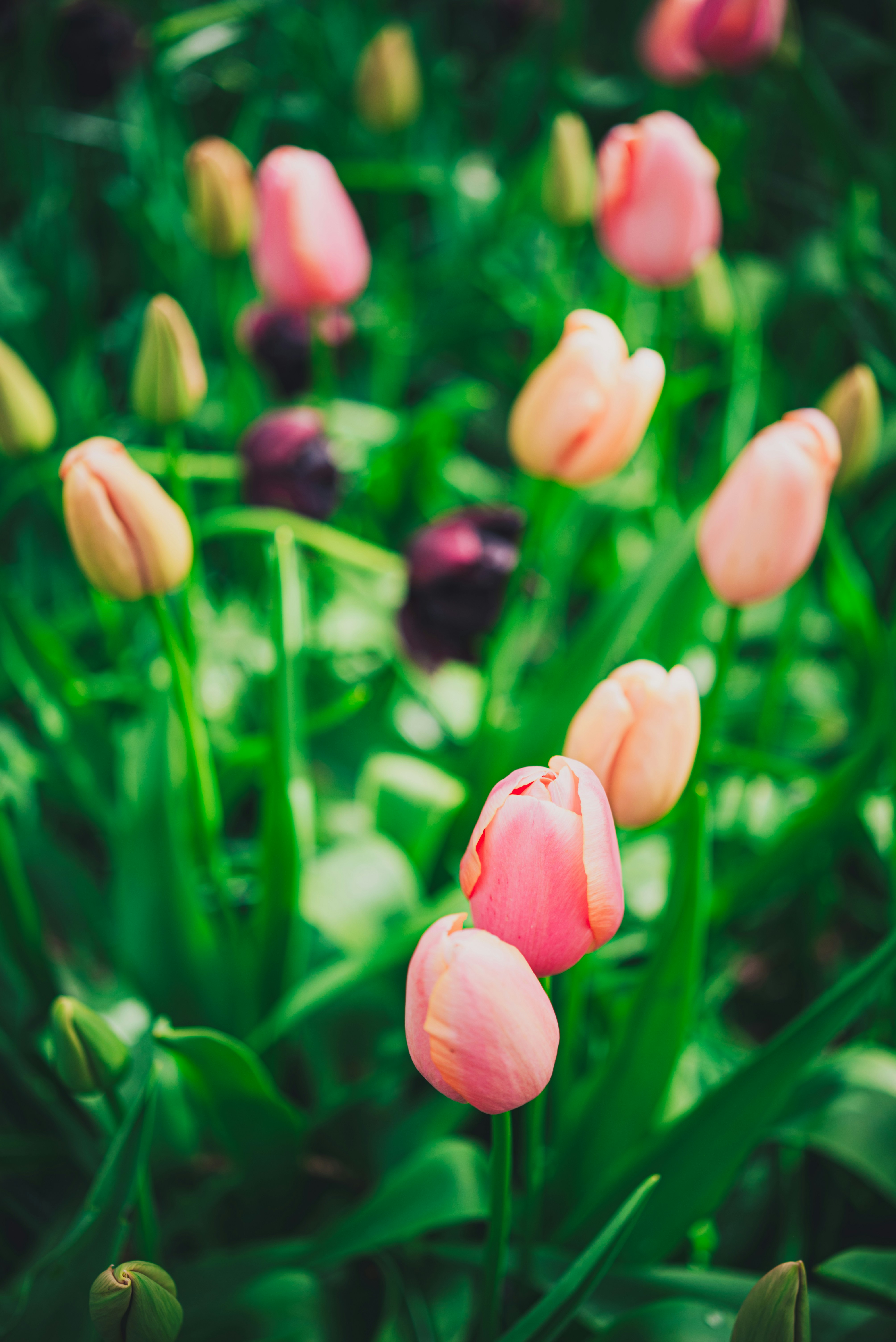 Photo by libby_penner