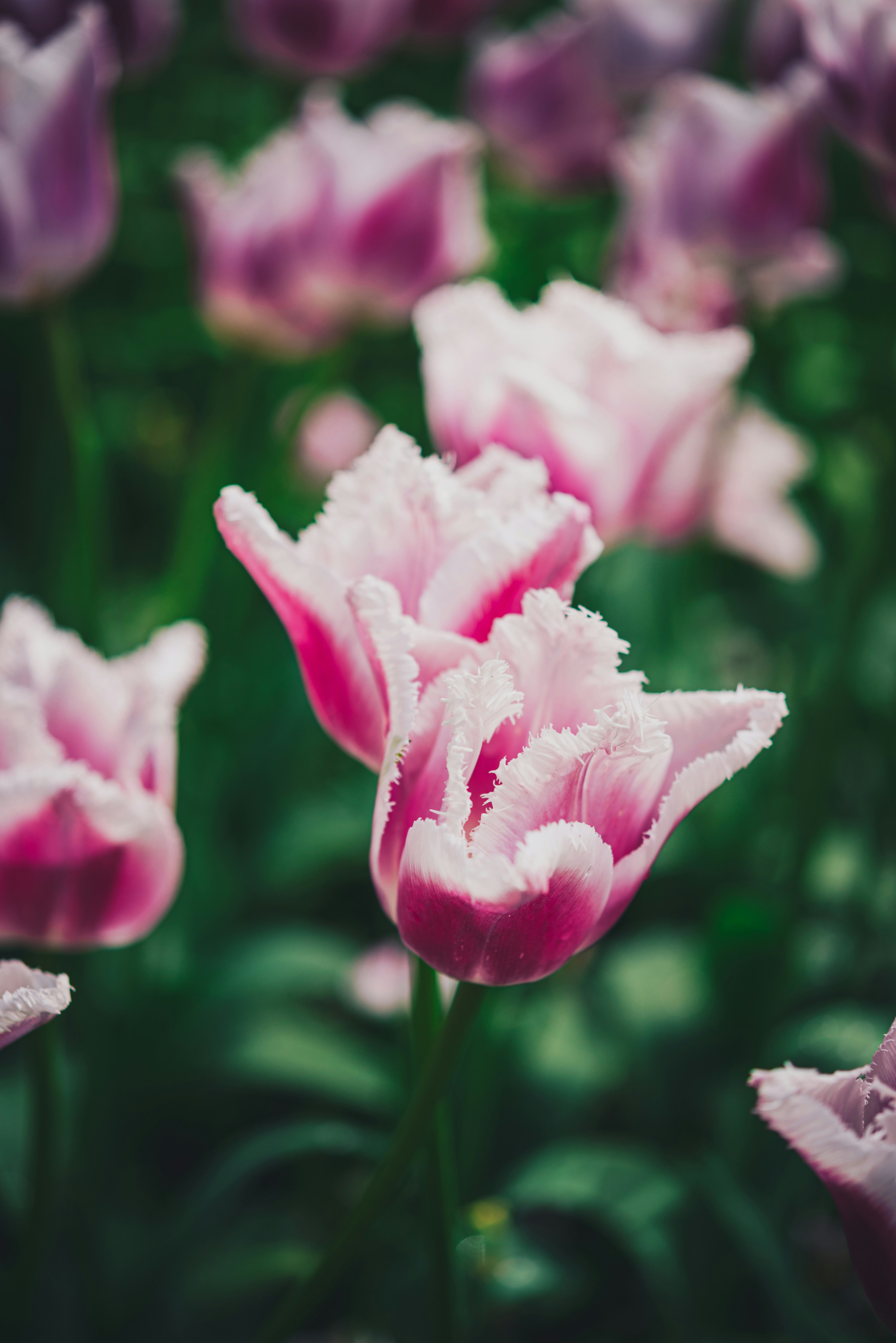 Photo by libby_penner