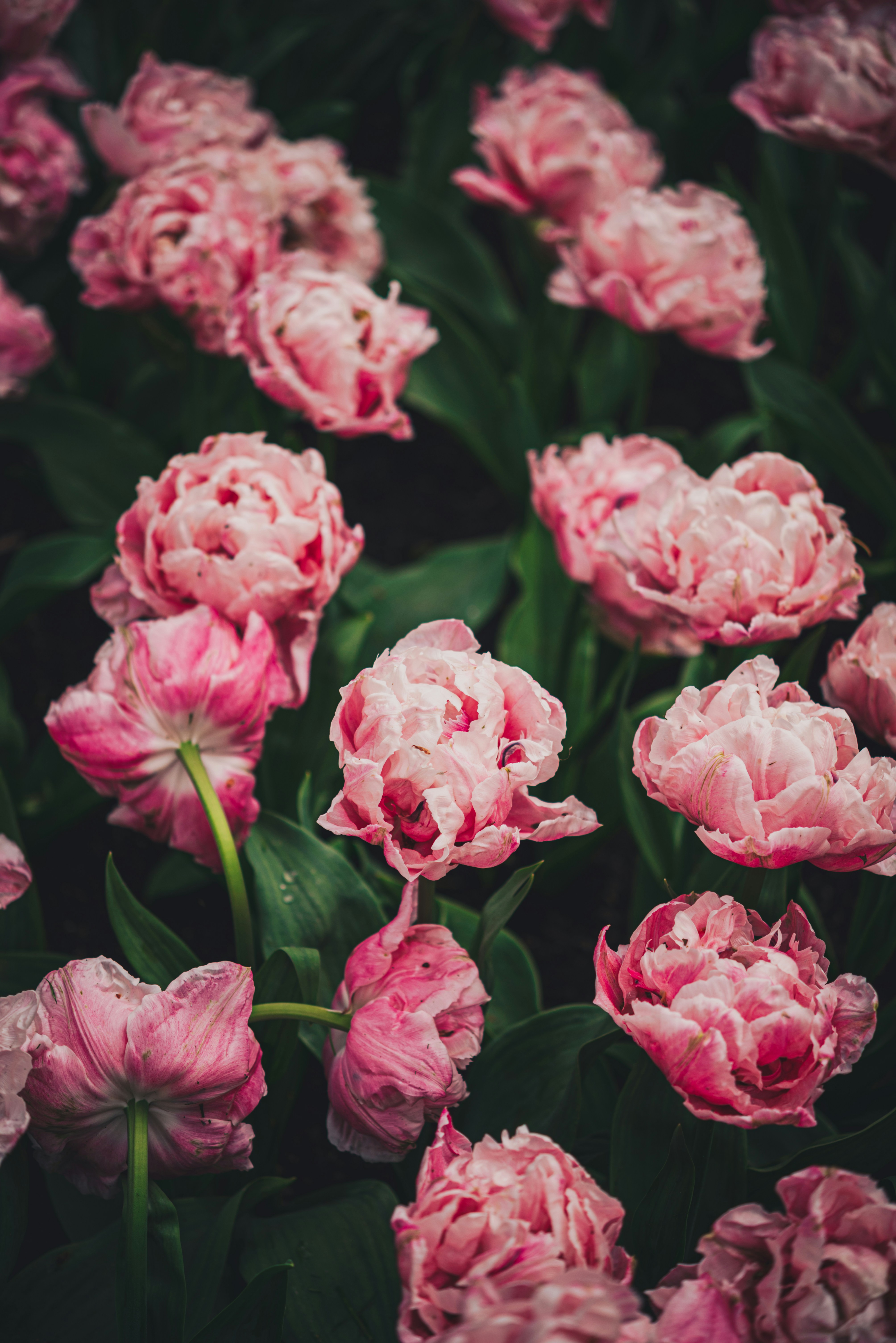 Photo by libby_penner