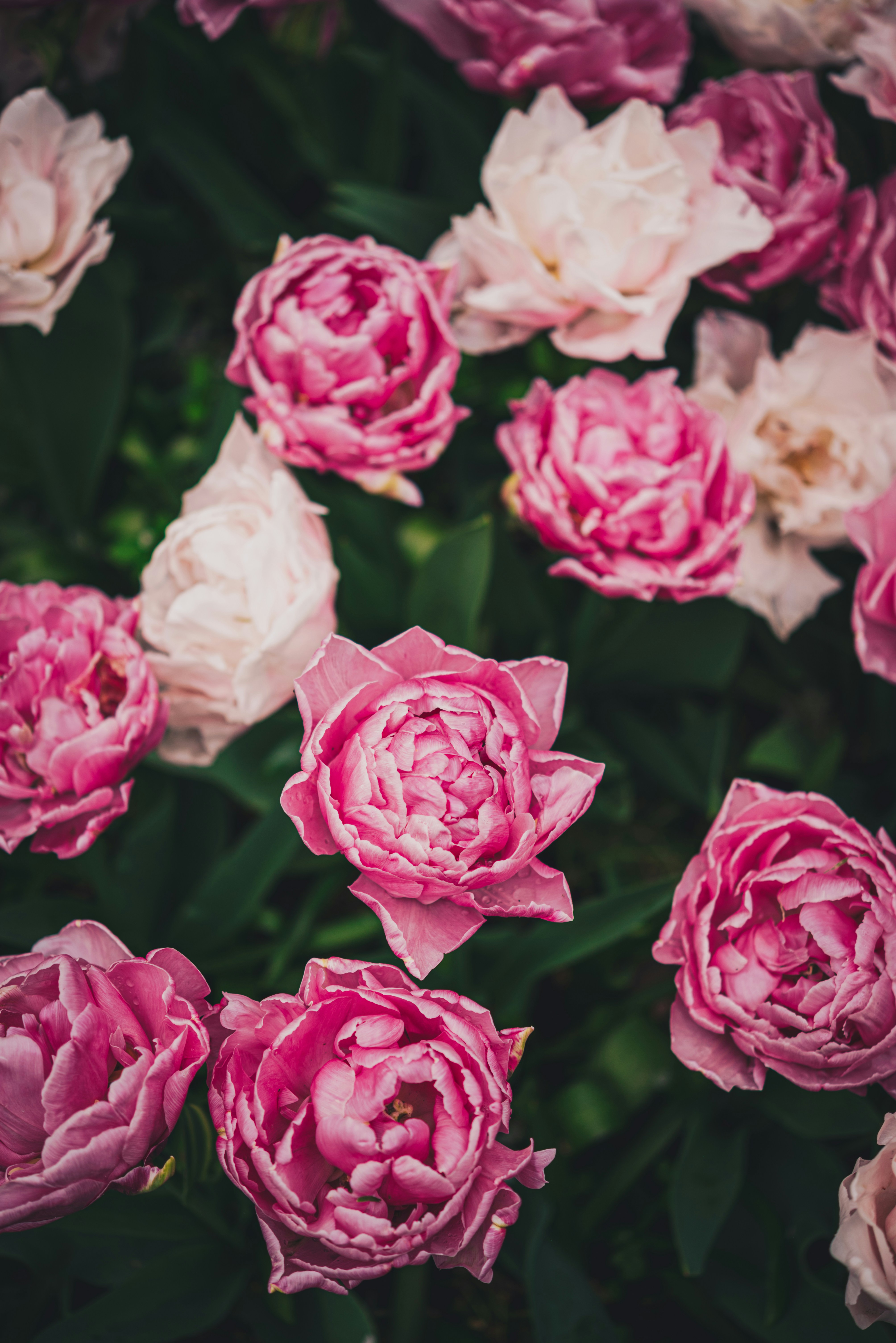 Photo by libby_penner