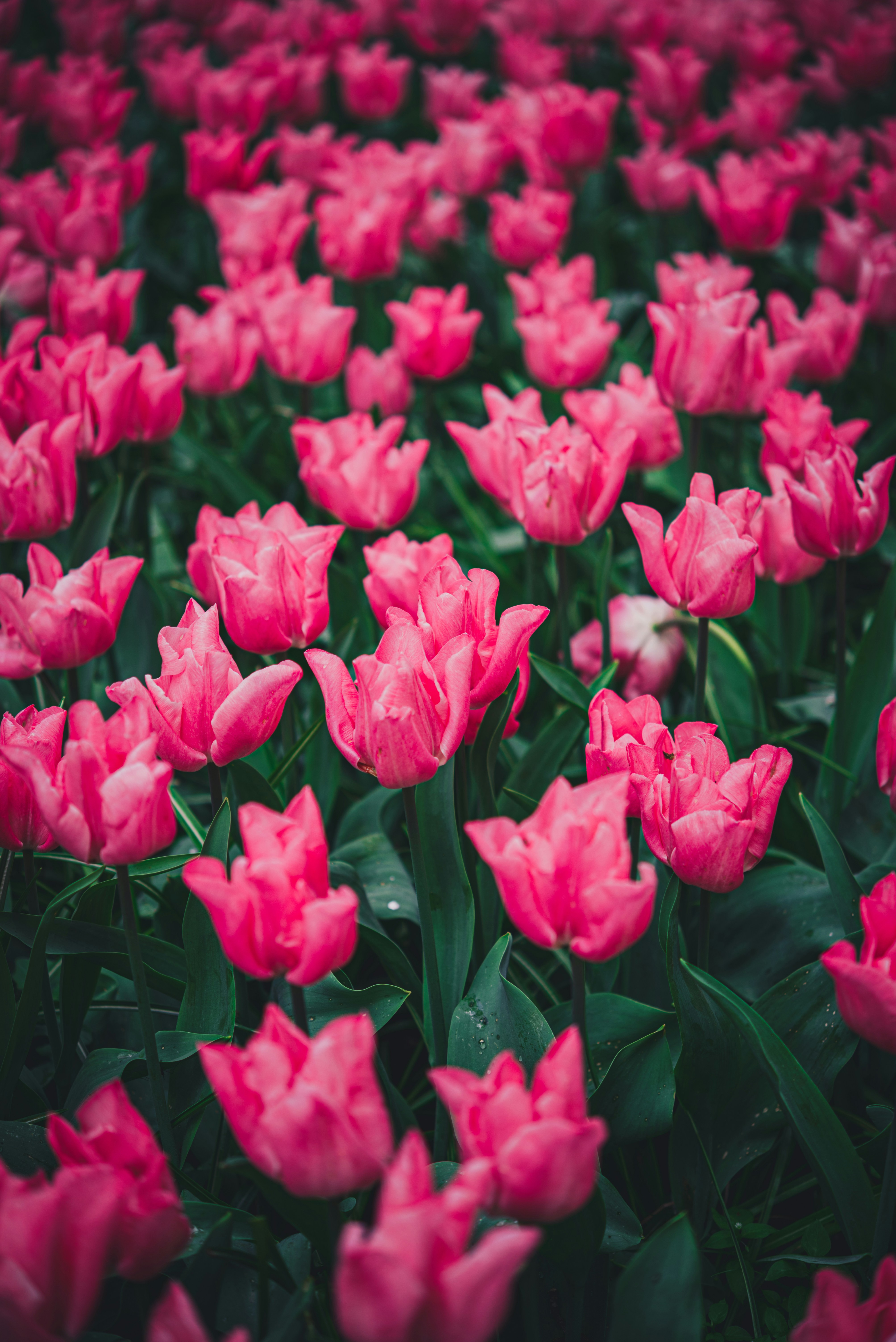 Photo by libby_penner