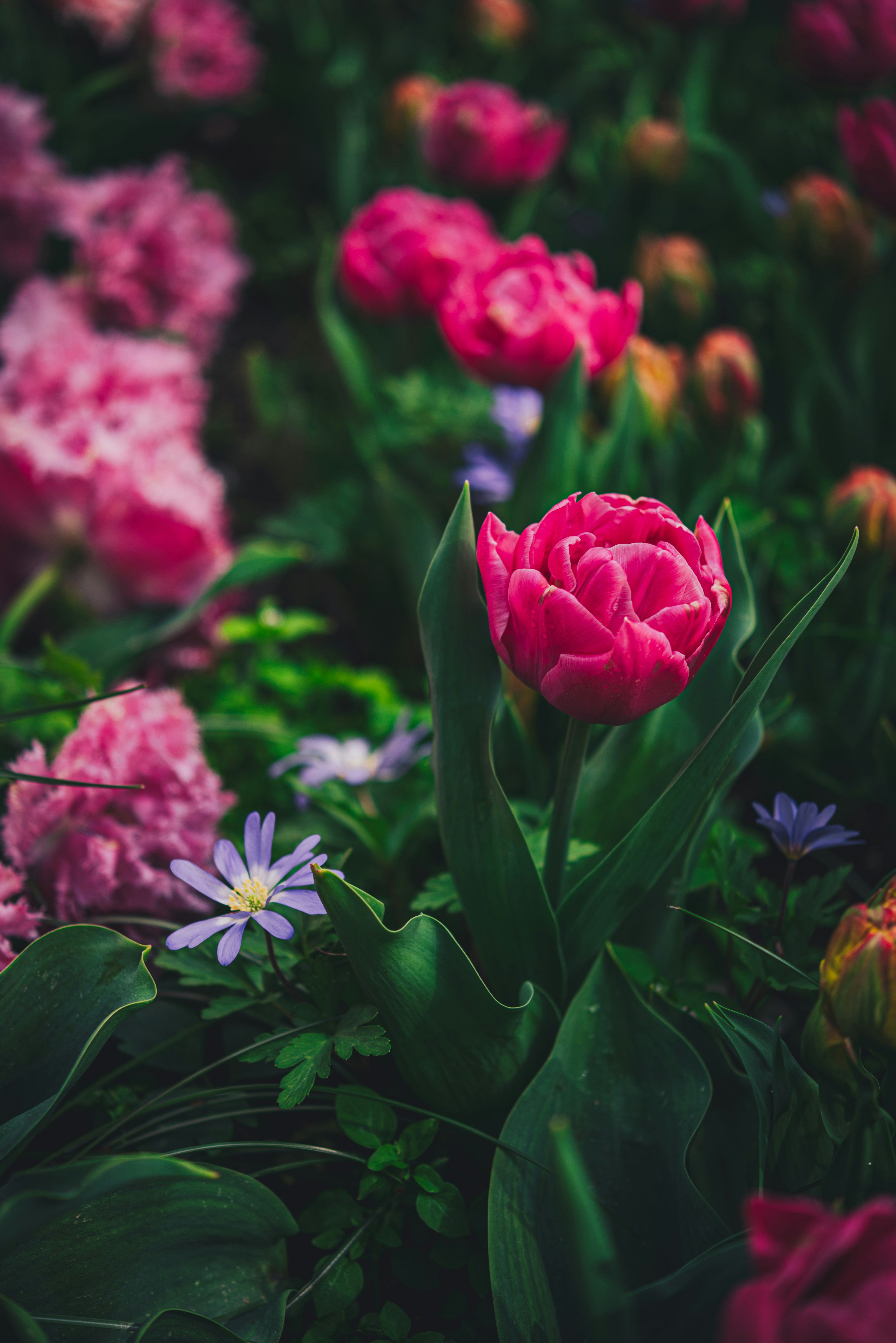 Photo by libby_penner