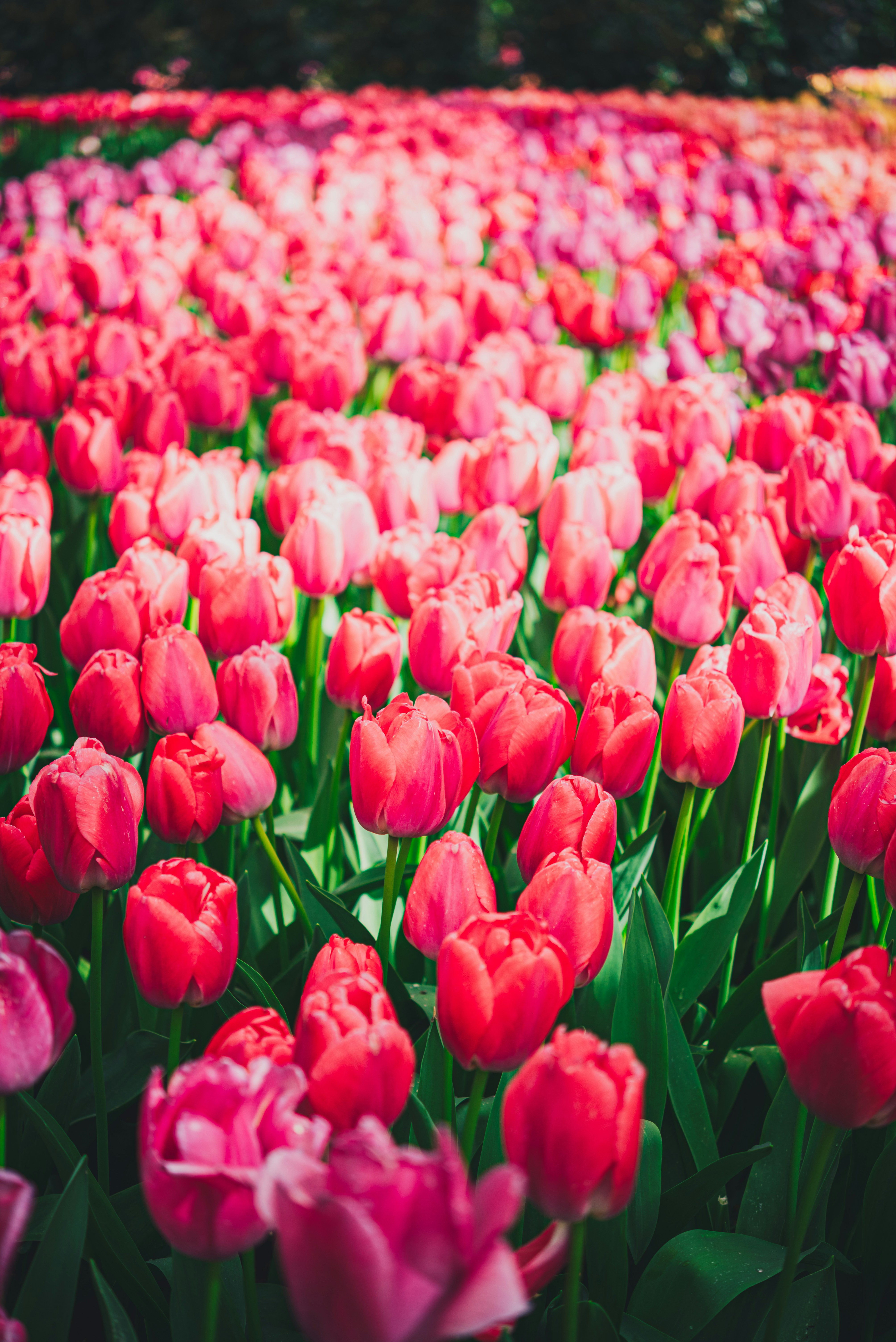 Photo by libby_penner