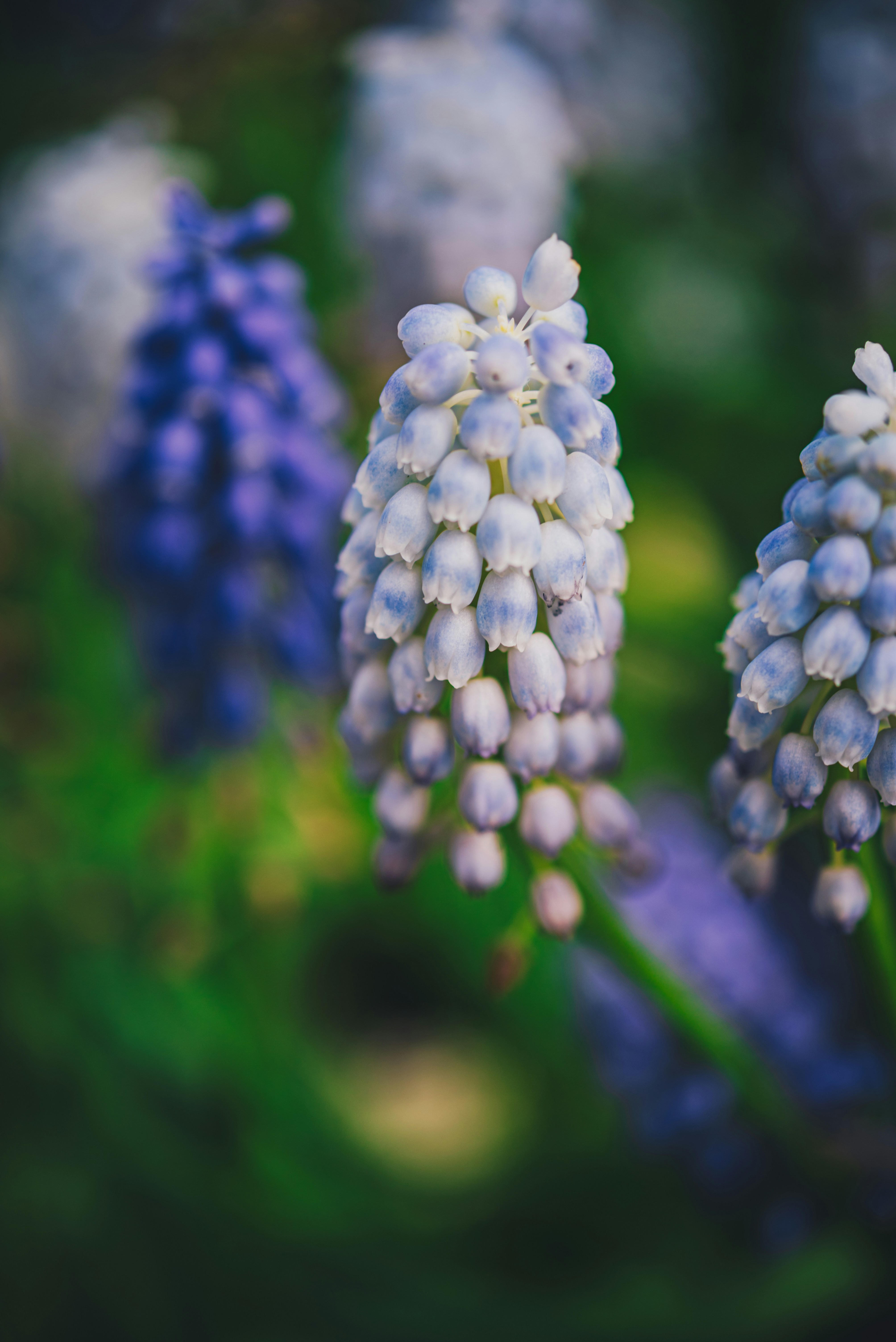 Photo by libby_penner