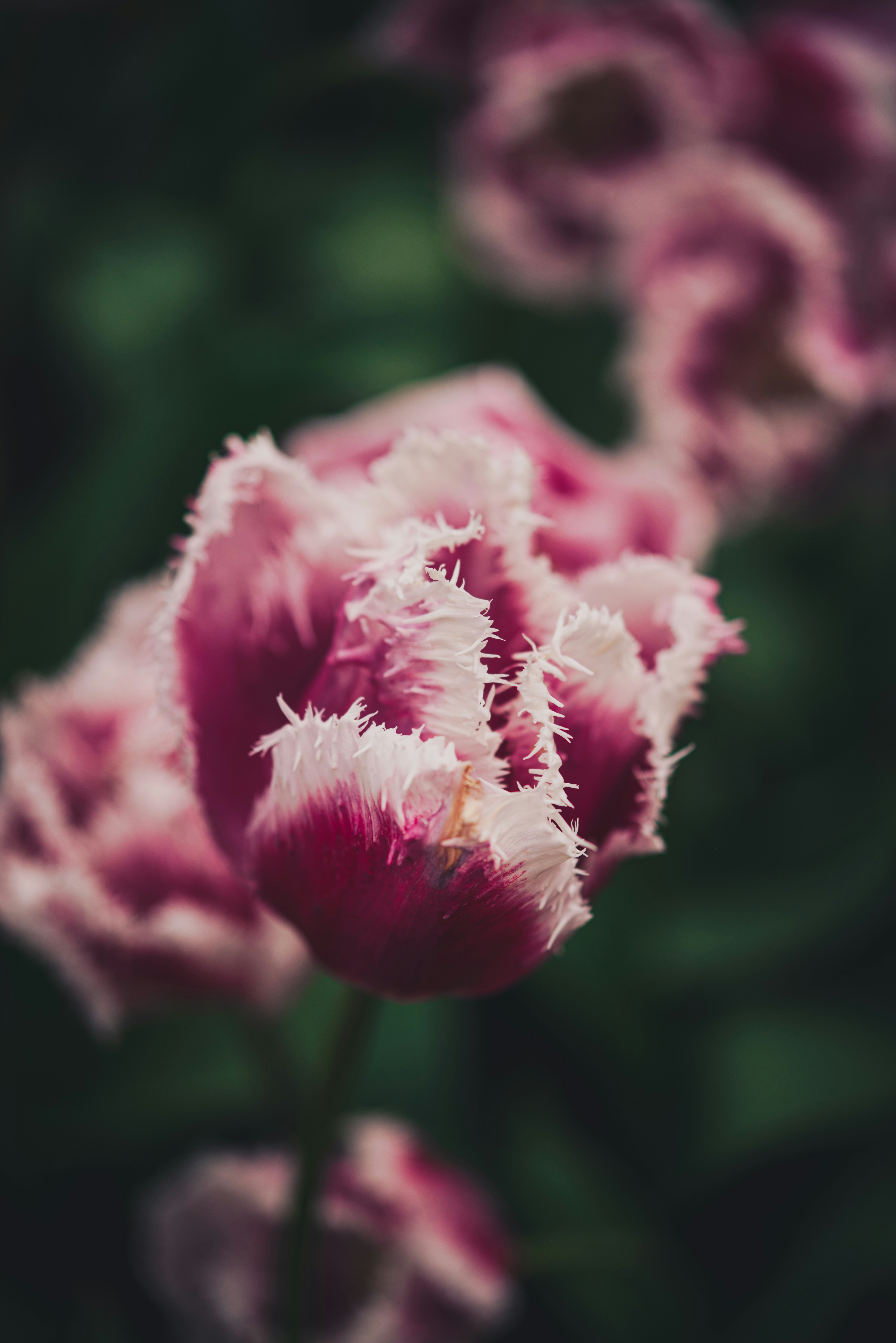 Photo by libby_penner