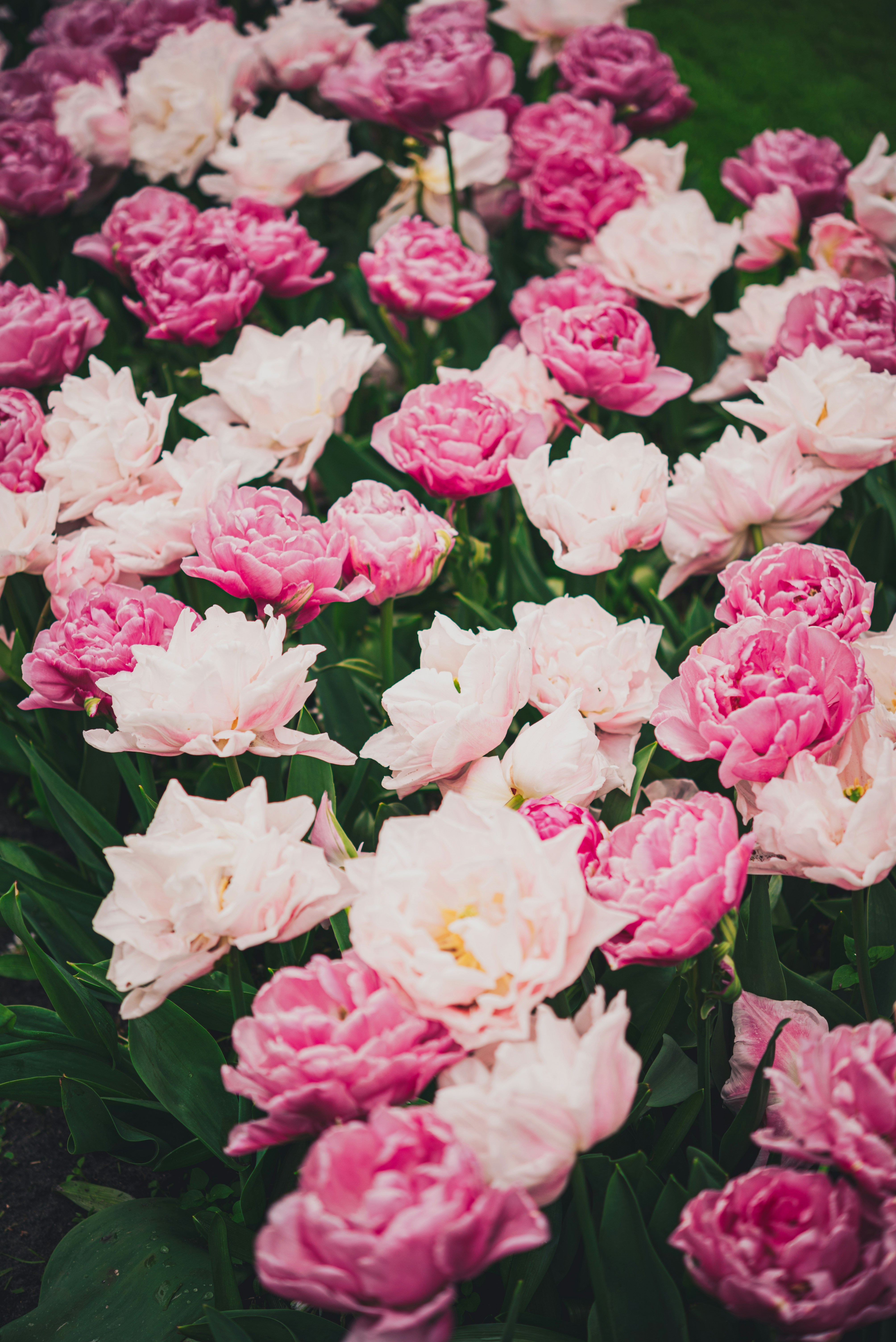 Photo by libby_penner