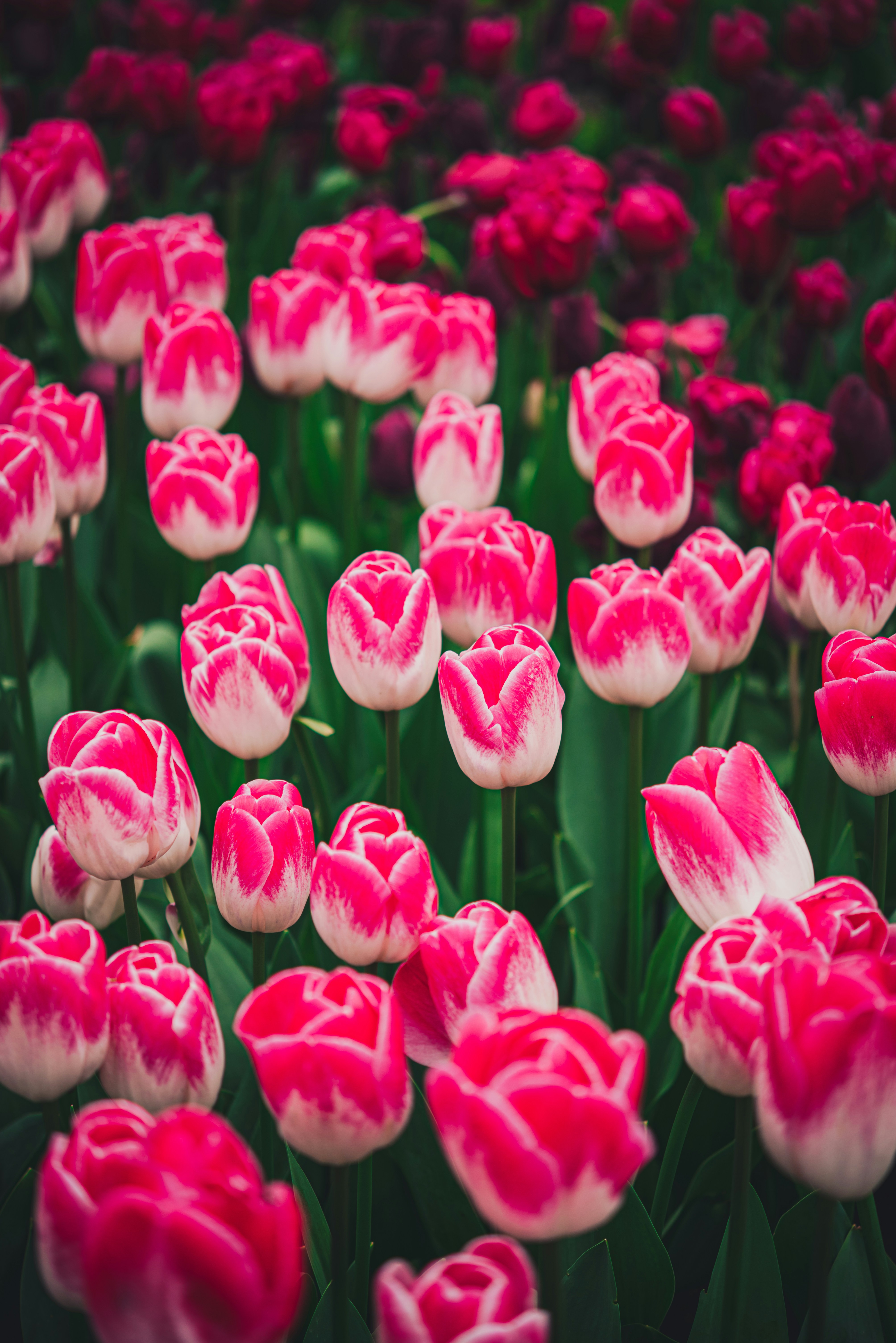 Photo by libby_penner