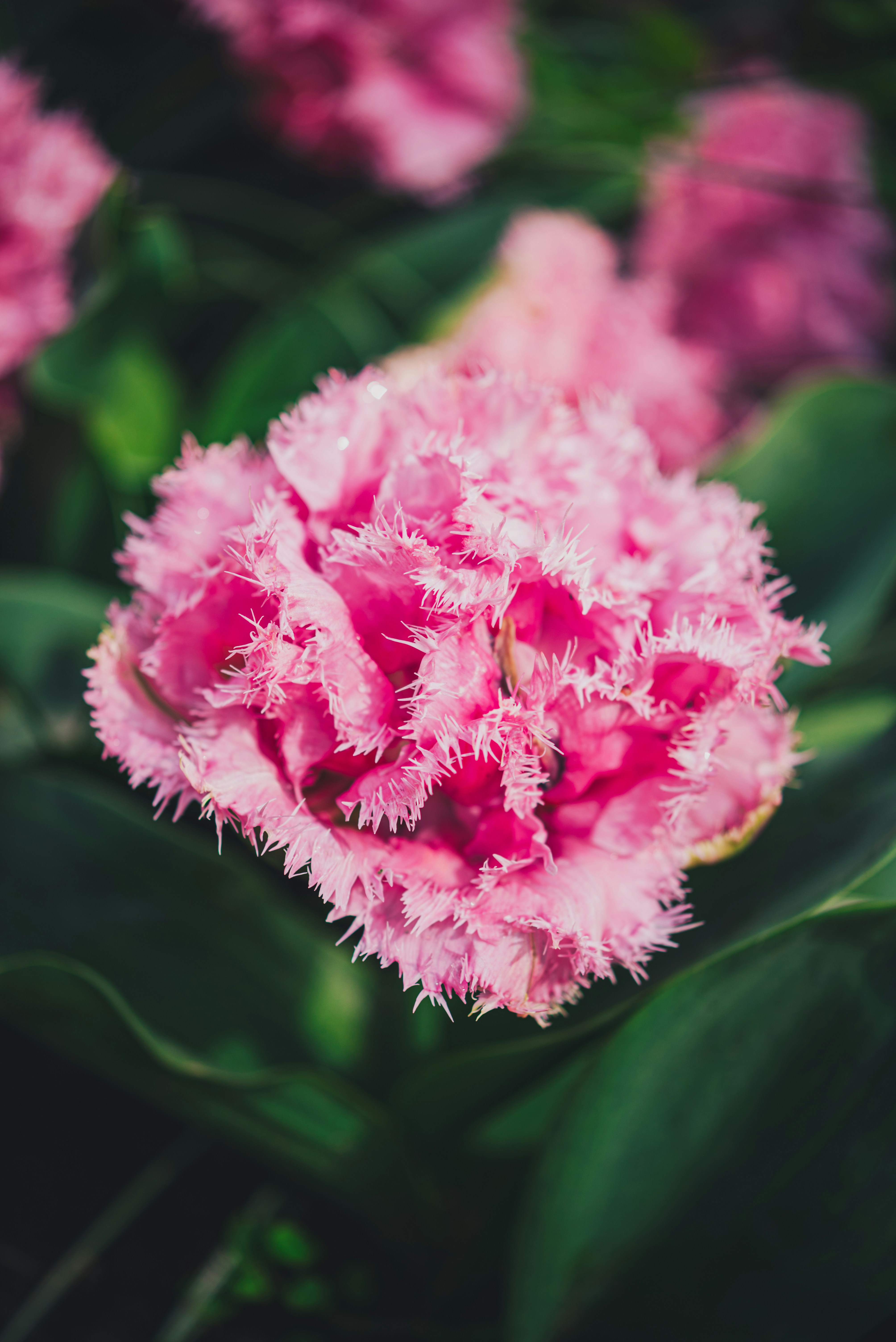 Photo by libby_penner