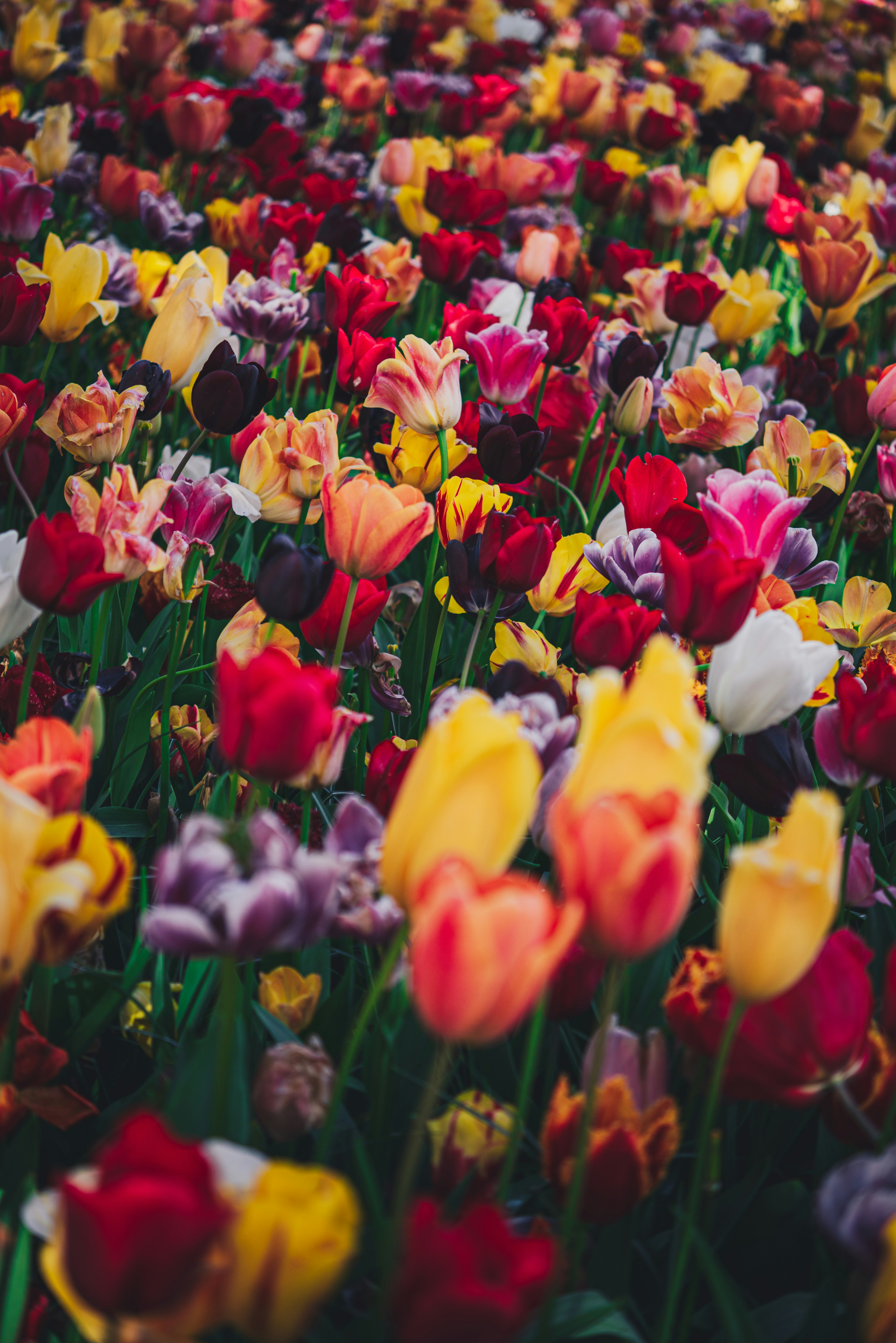 Photo by libby_penner