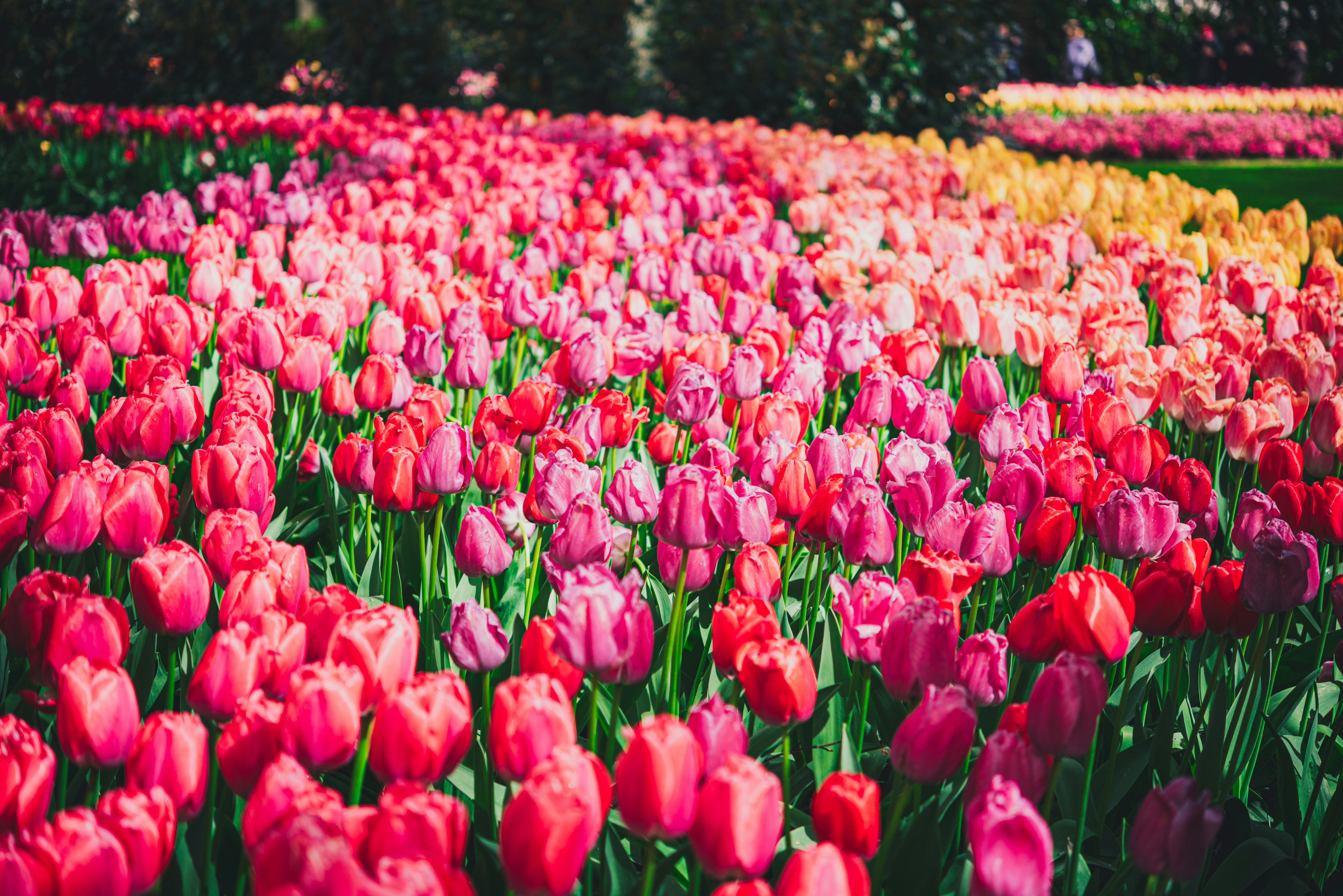 Photo by libby_penner