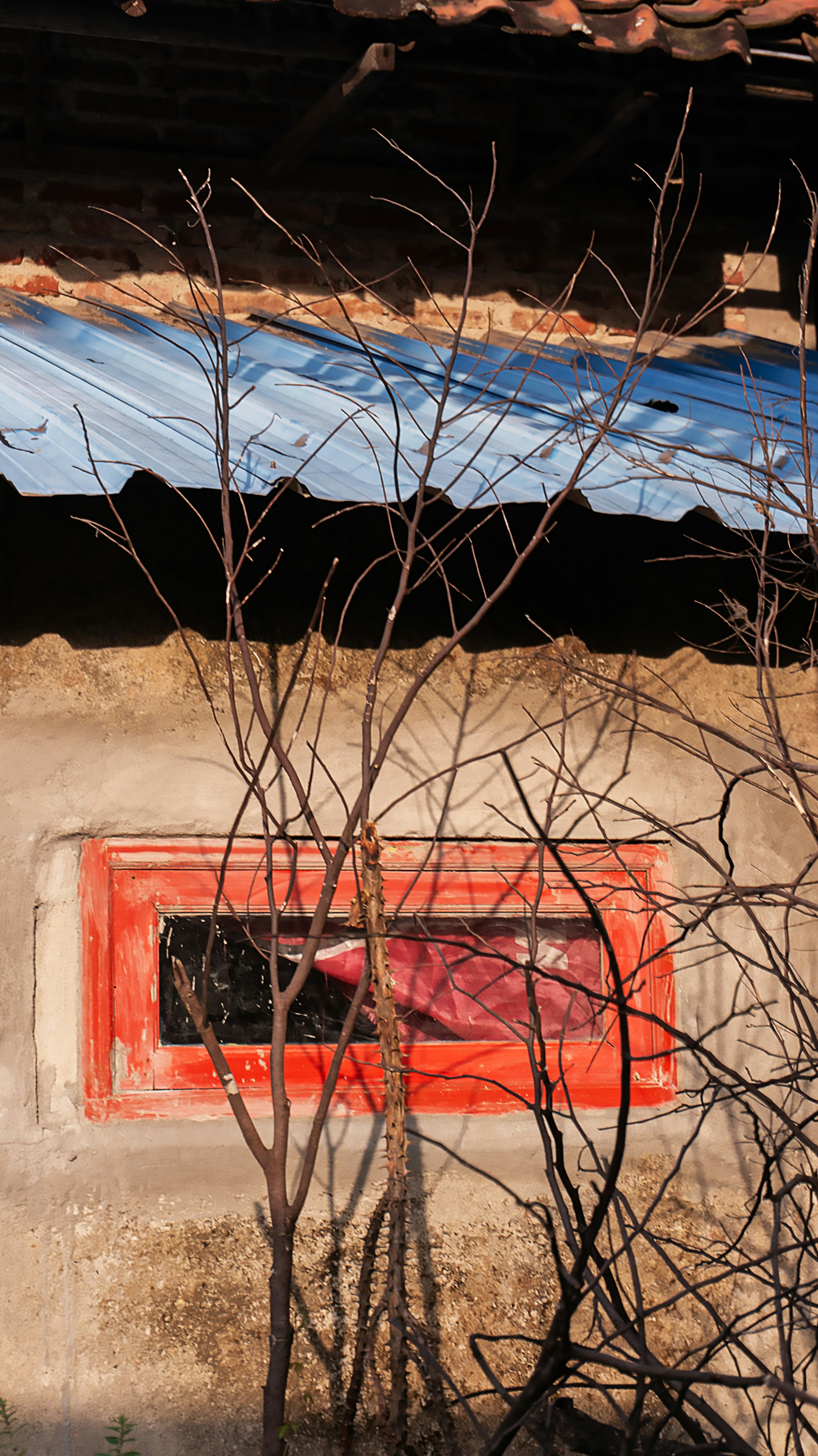 Photo by aletraekaye