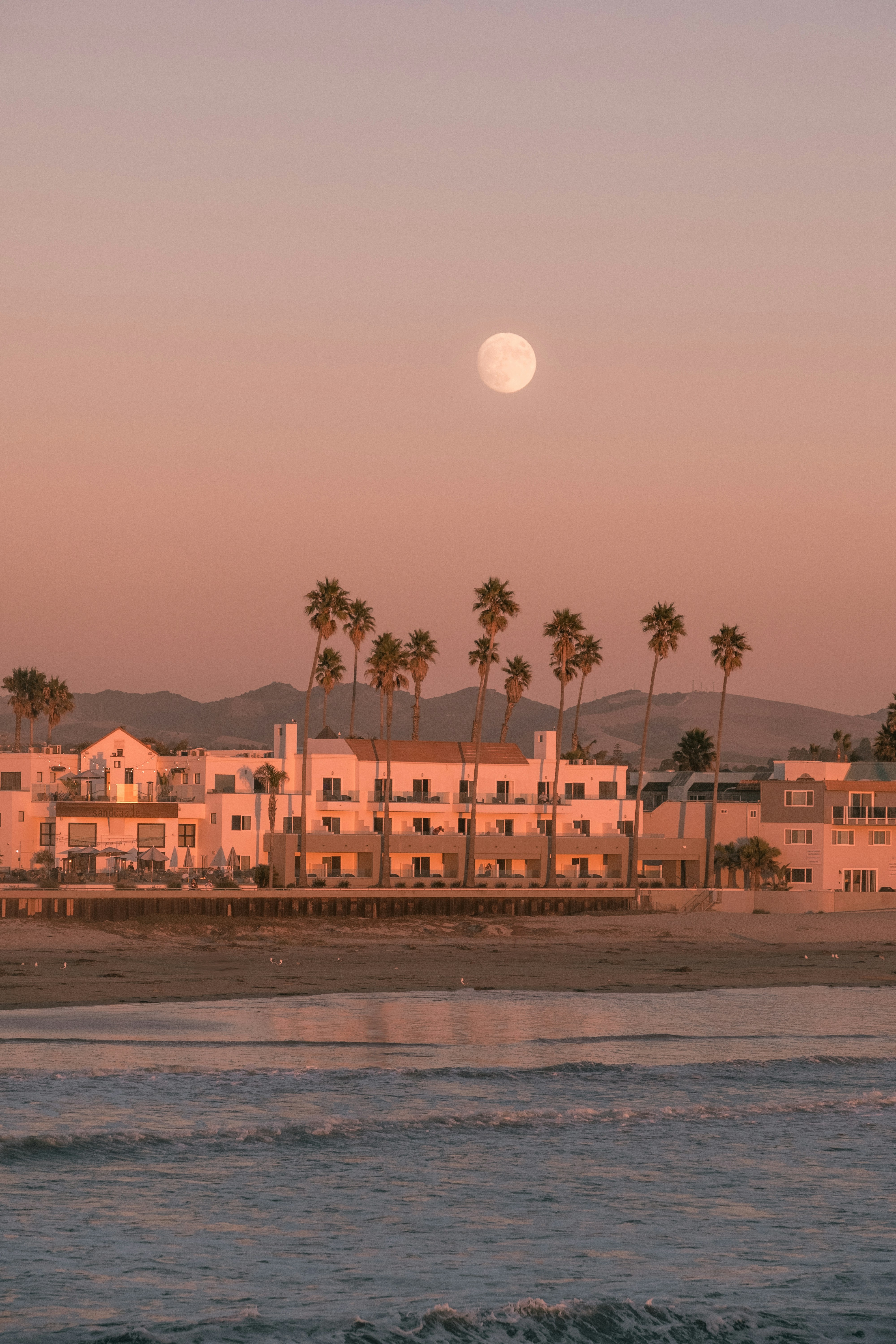 Daily Productive Sharing 967 - Rules for Happiness