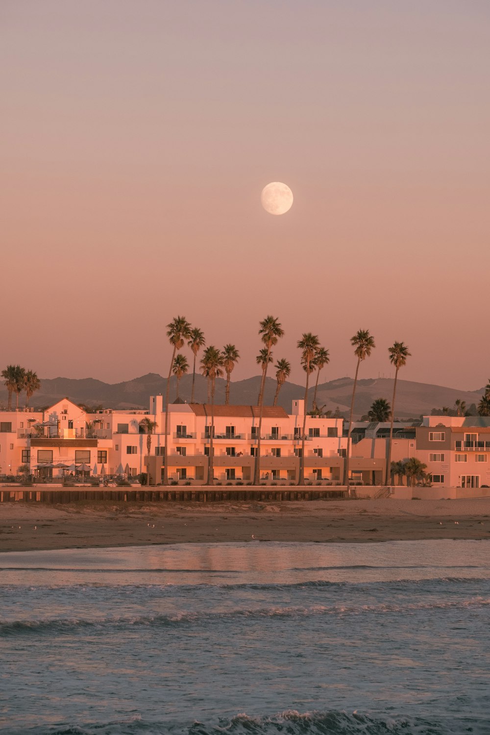 a full moon rising over a beach with palm trees