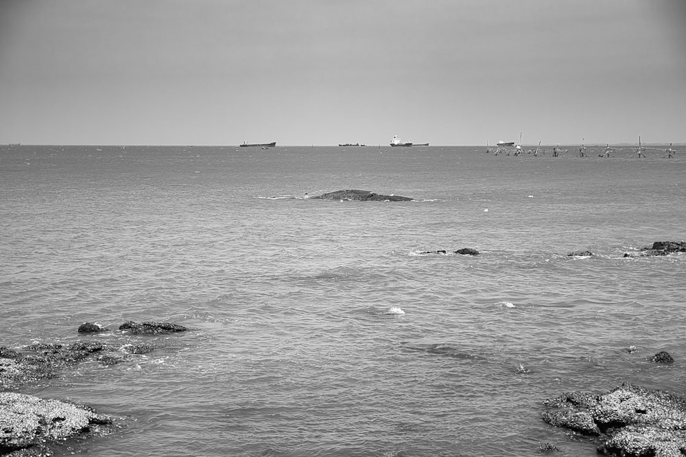 a black and white photo of a body of water