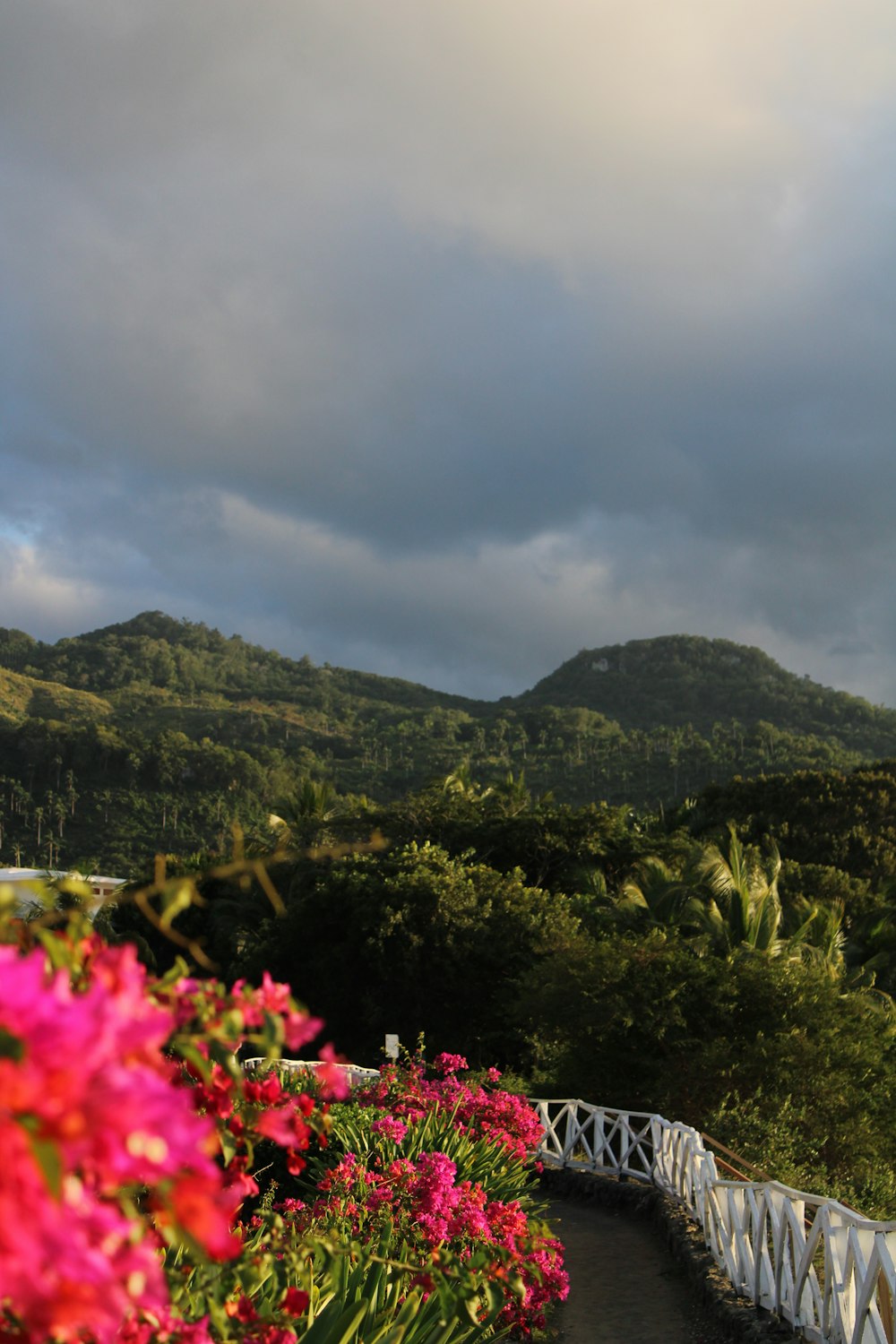 a walkway with flowers and a mountain in the background