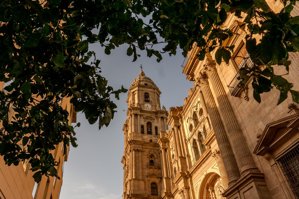 a tall clock tower towering over a city