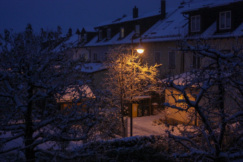 a street light in the middle of a snowy night