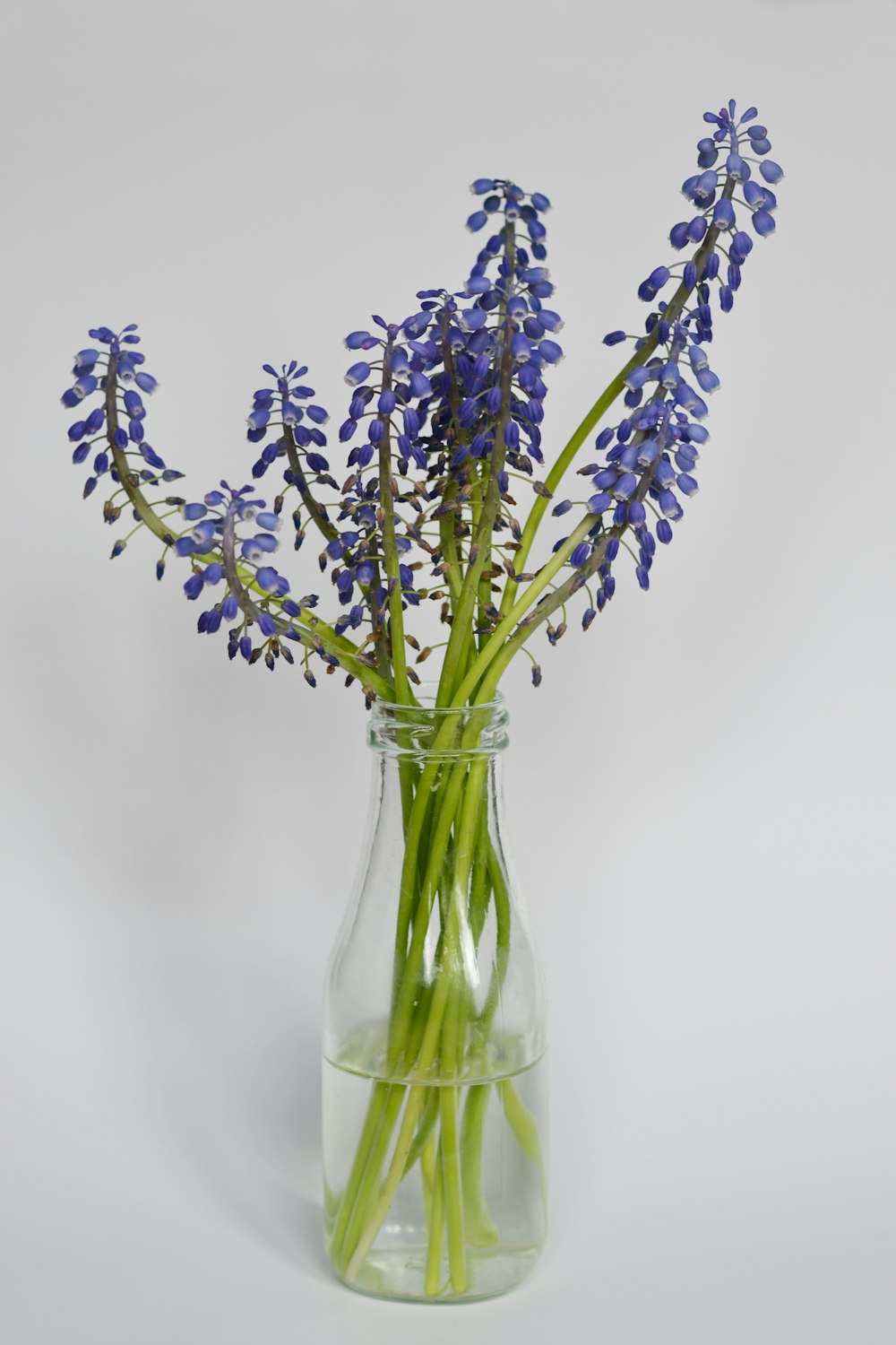 a vase filled with purple flowers on top of a table