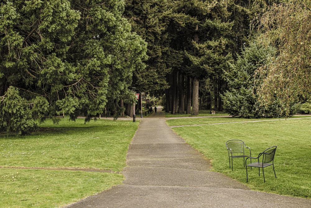 a park bench sitting on the side of a road