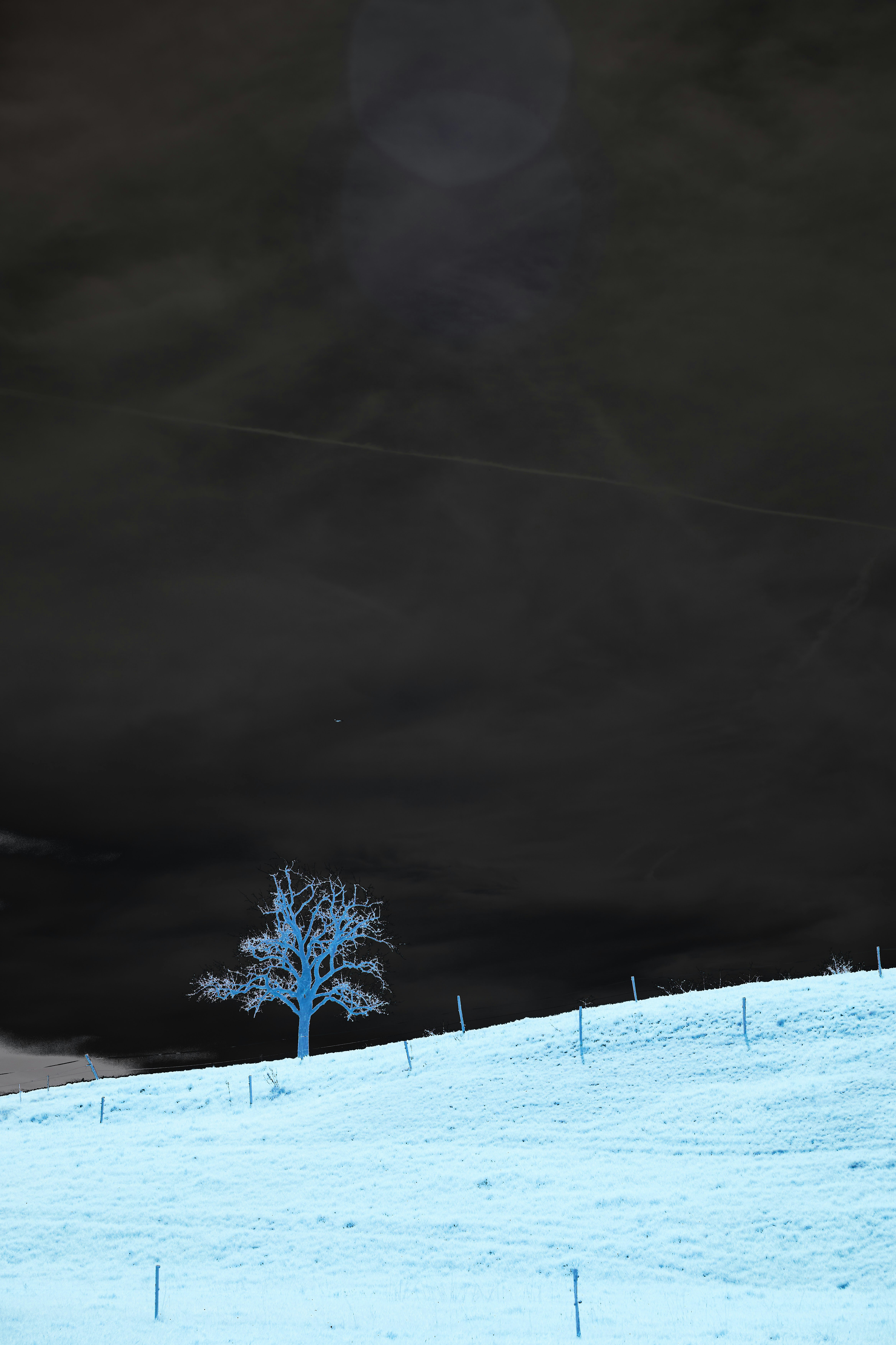 a lone tree on a snowy hill under a dark sky