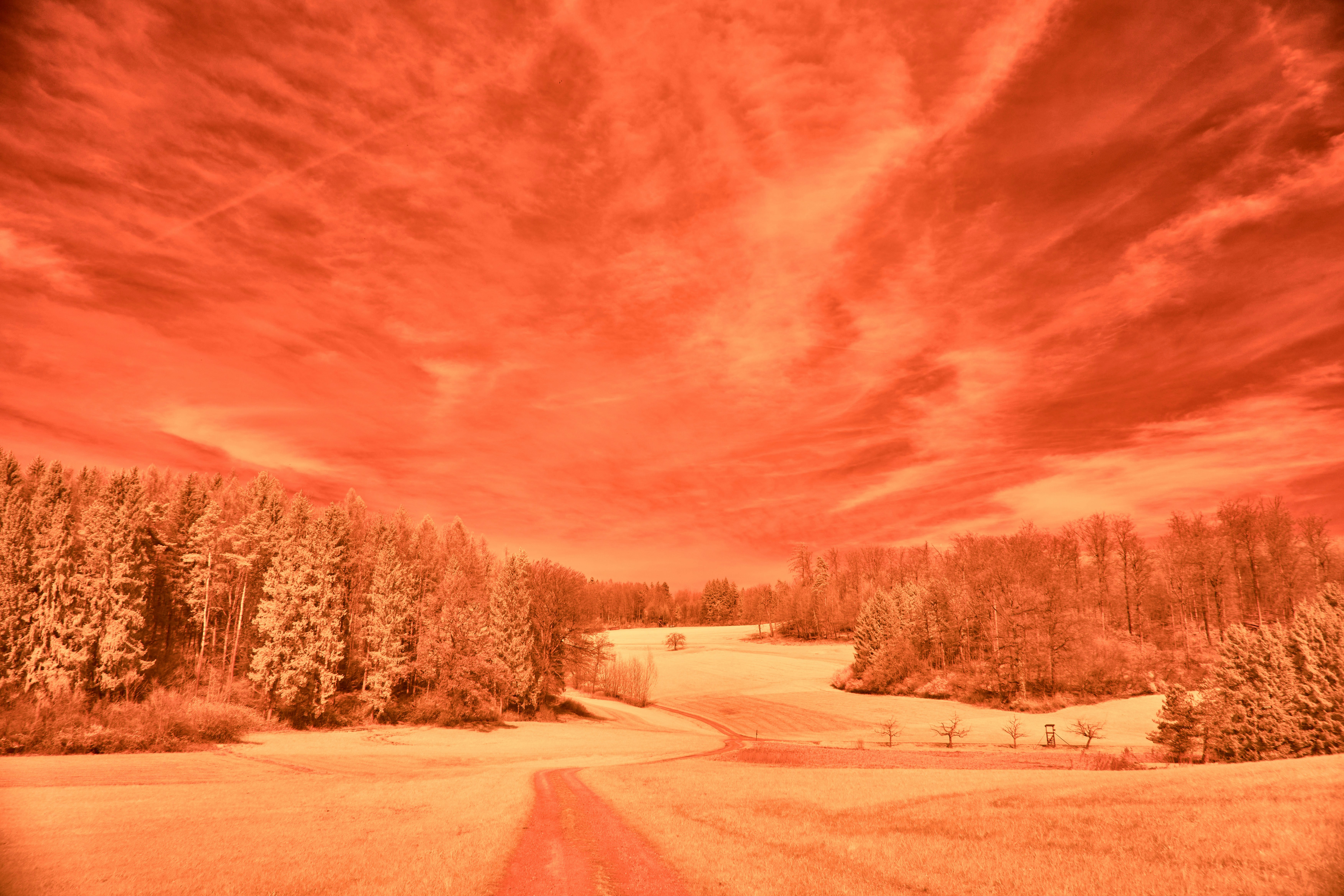 Photo by wolfgang_hasselmann