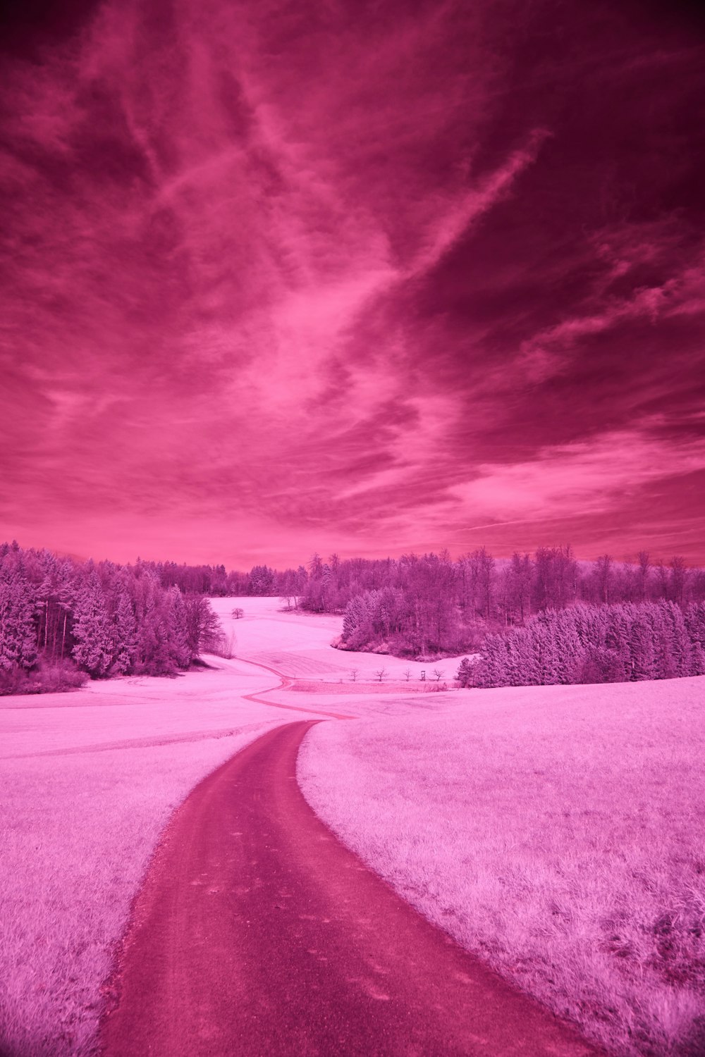 a dirt road in the middle of a field