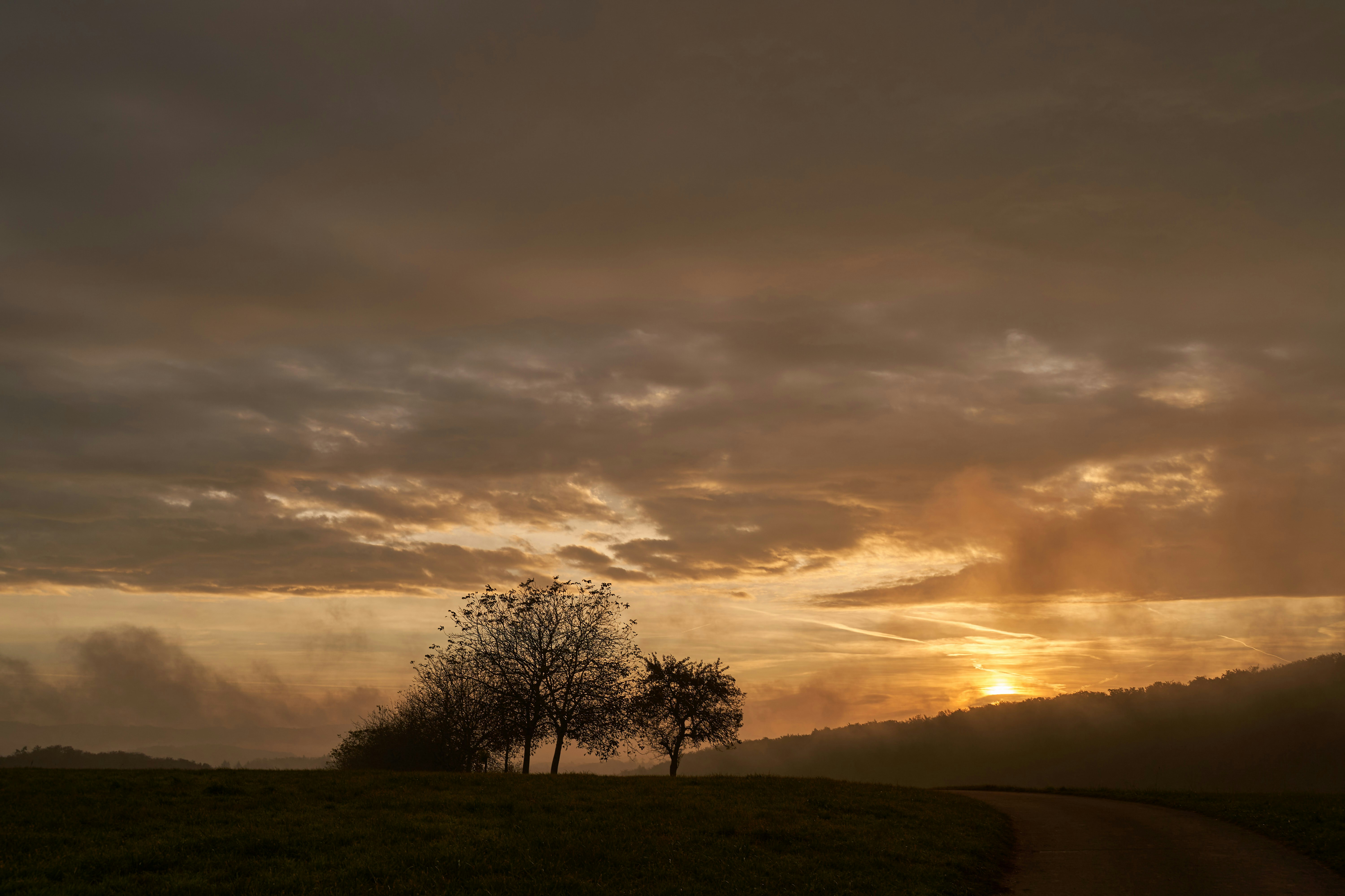 Photo by wolfgang_hasselmann