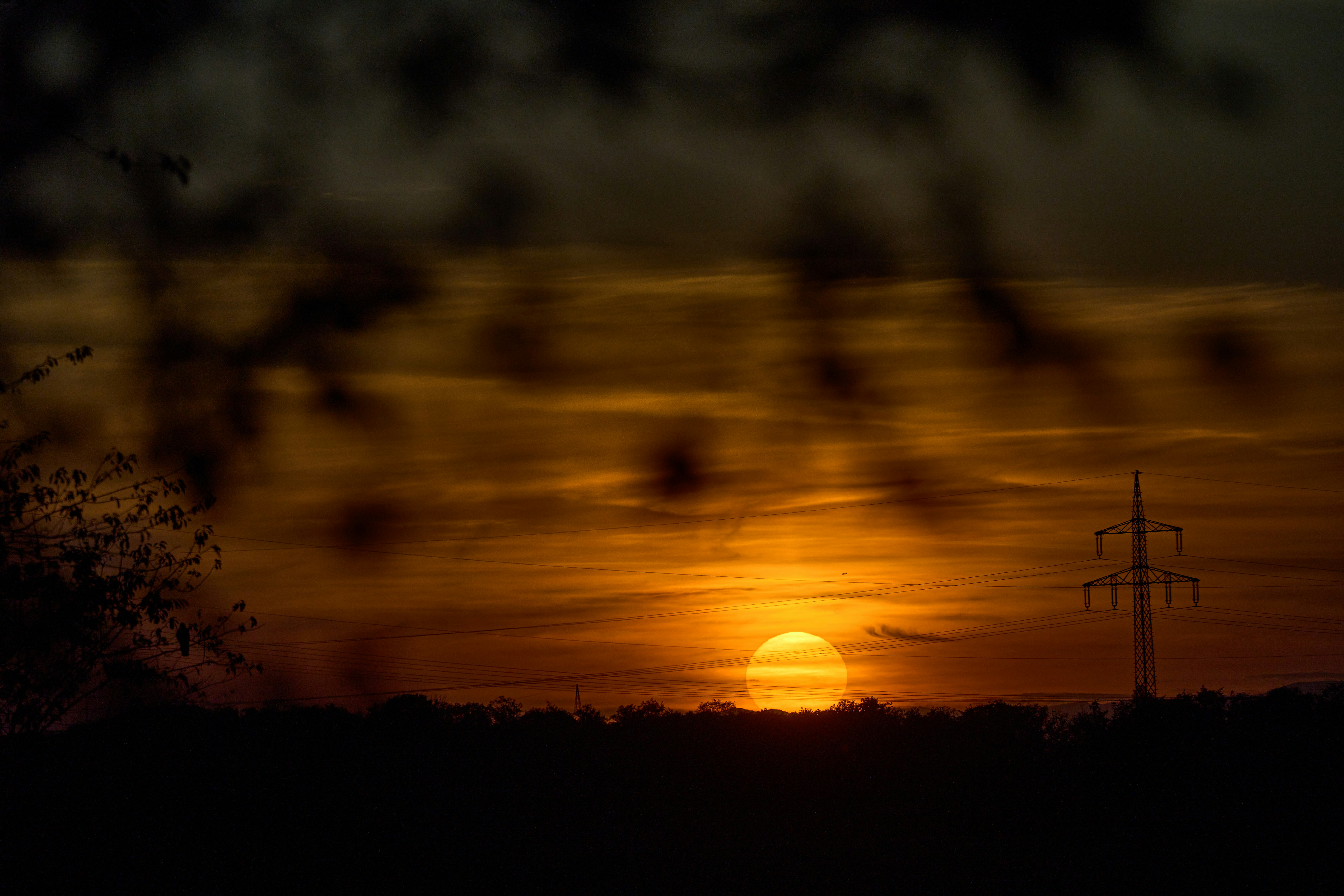 Photo by wolfgang_hasselmann