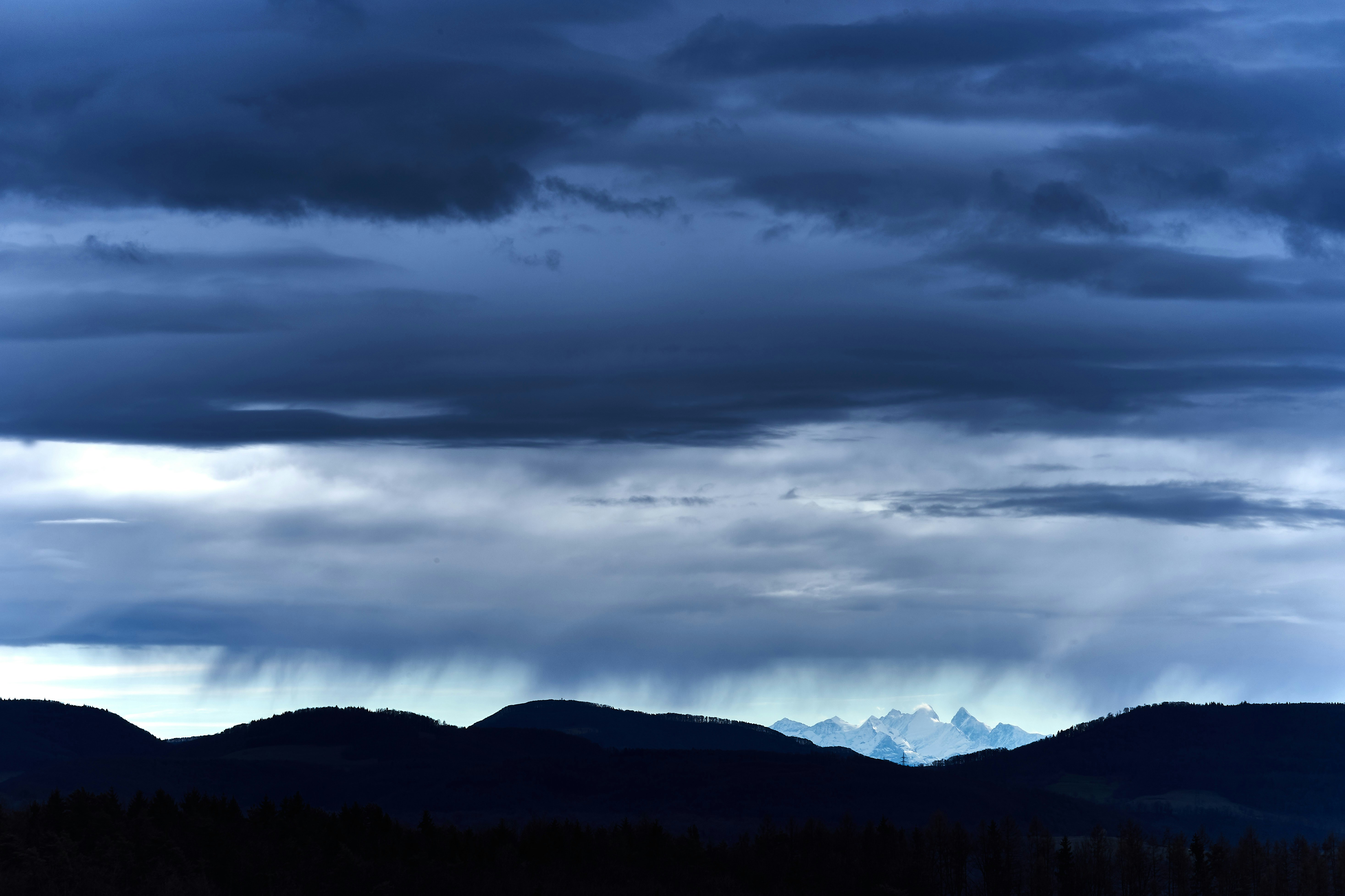 Photo by wolfgang_hasselmann